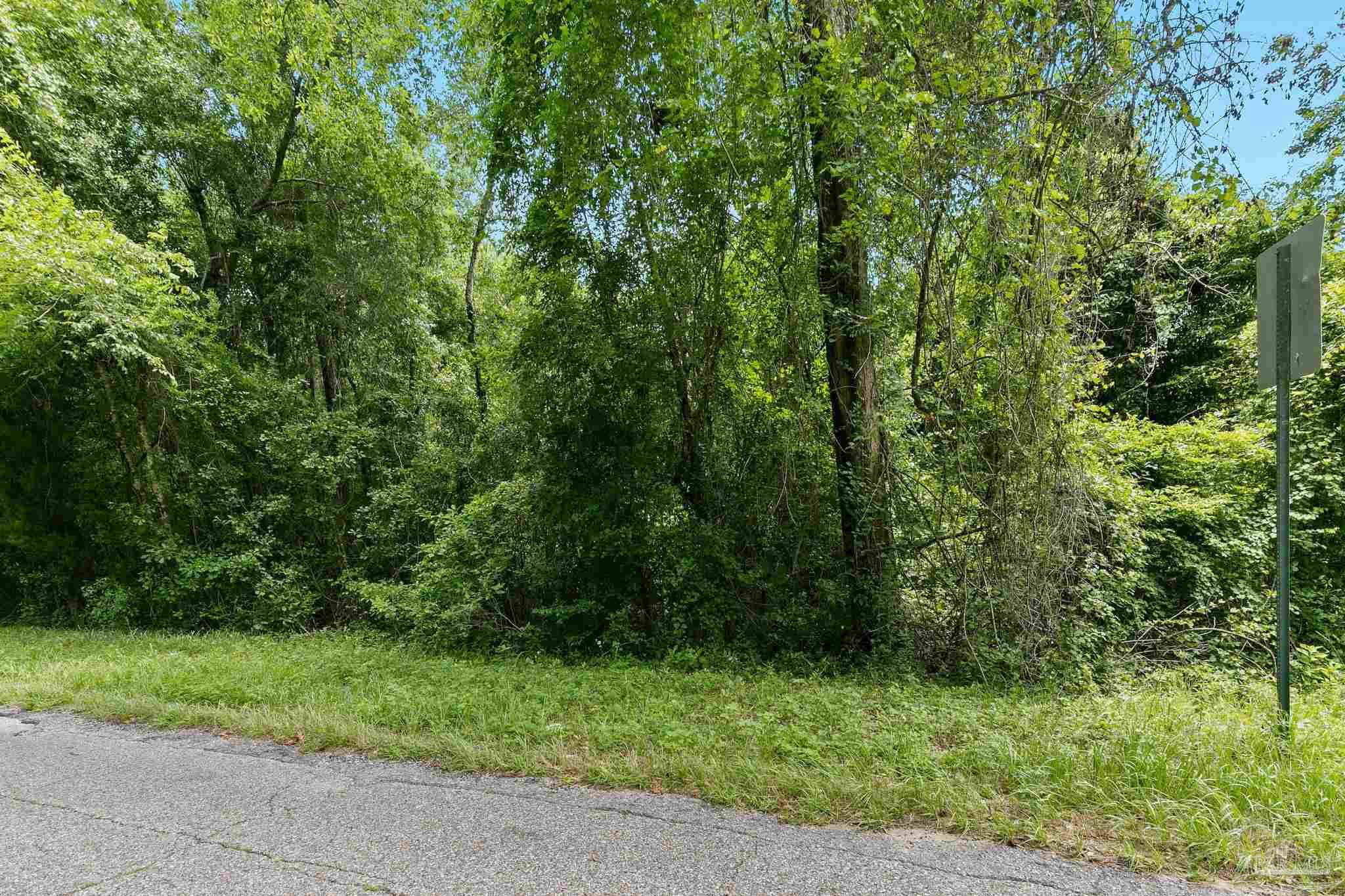 0 Pine Forest Road Walnut Hill, FL 32568 - Photo 8 of 33 Gallery Image 8