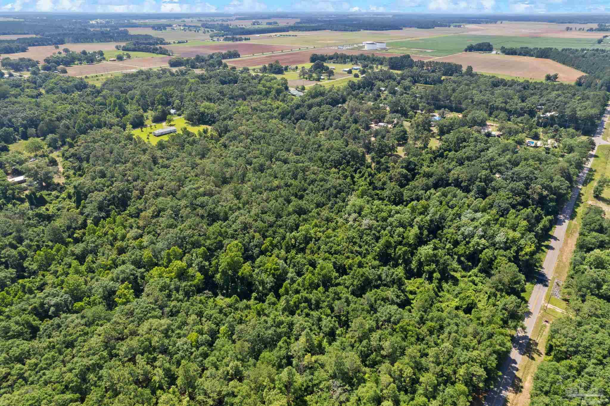 0 Pine Forest Road Walnut Hill, FL 32568 - Photo 9 of 33 Gallery Image 9