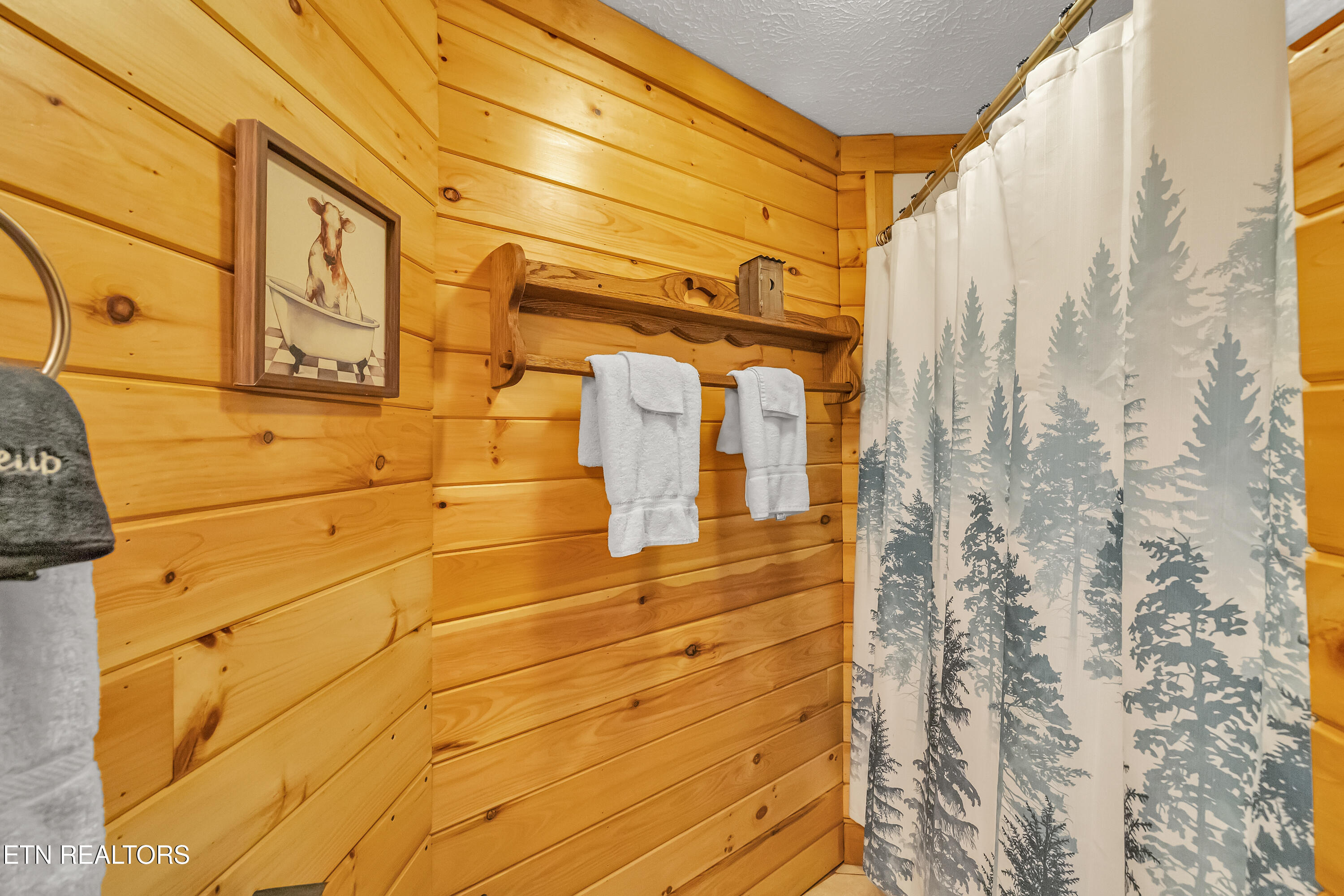 509 Thomas Loop Road Sevierville, TN 37876 - Photo 26 of 38 509 Thomas Loop Rd-120