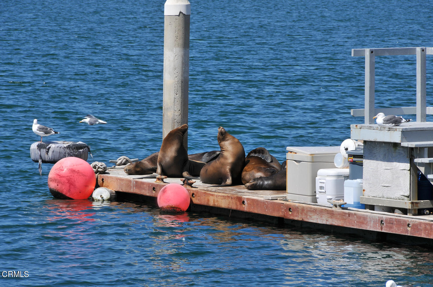 3430 Aviara Lane Oxnard, CA 93036 - Photo 56 of 58 1760 Emerald Isle Way Oxnard-large-039-0