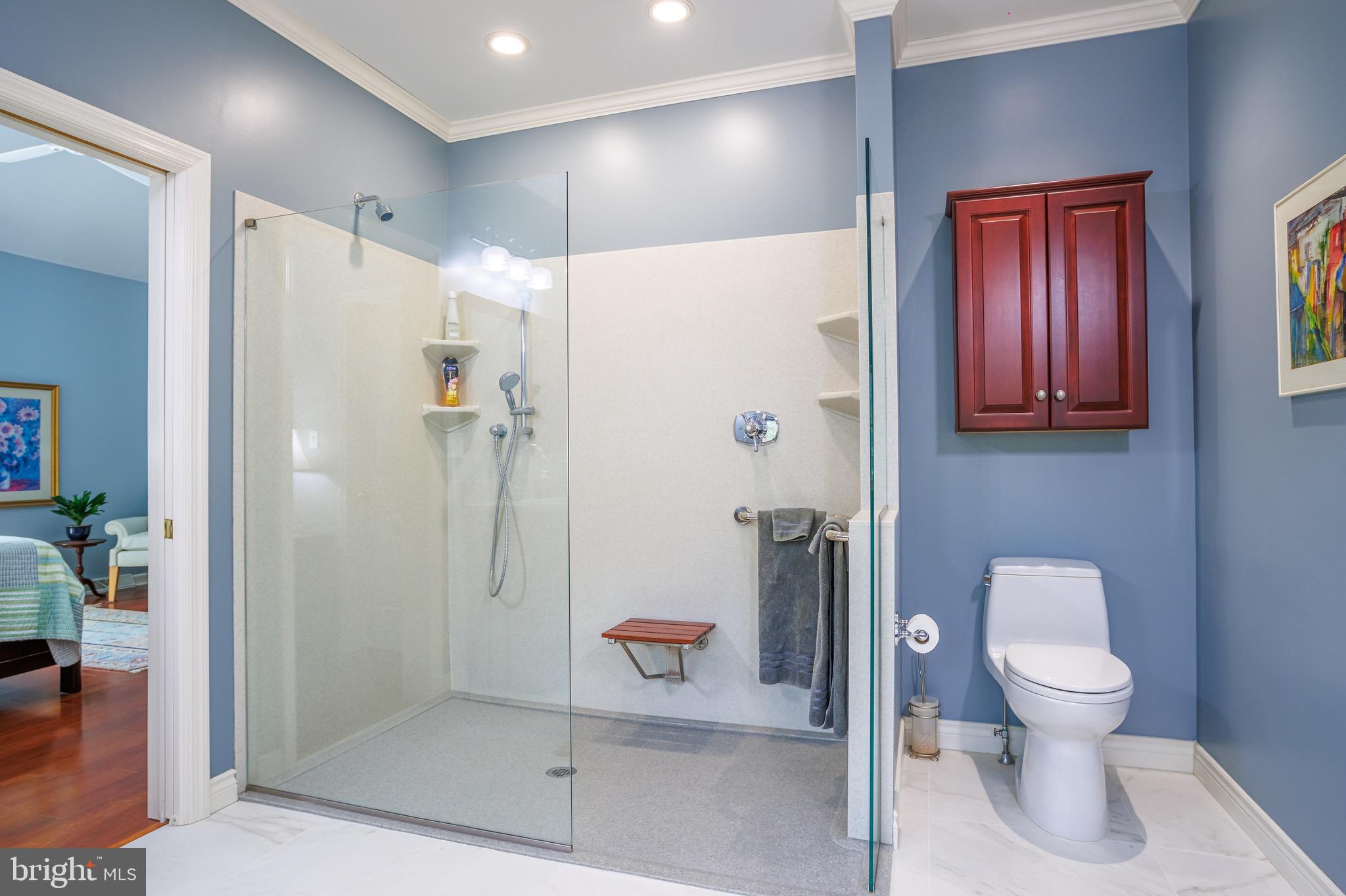 18 Deerfield Road Lancaster, PA 17603 - Photo 13 of 31 Primary bath walk-in shower