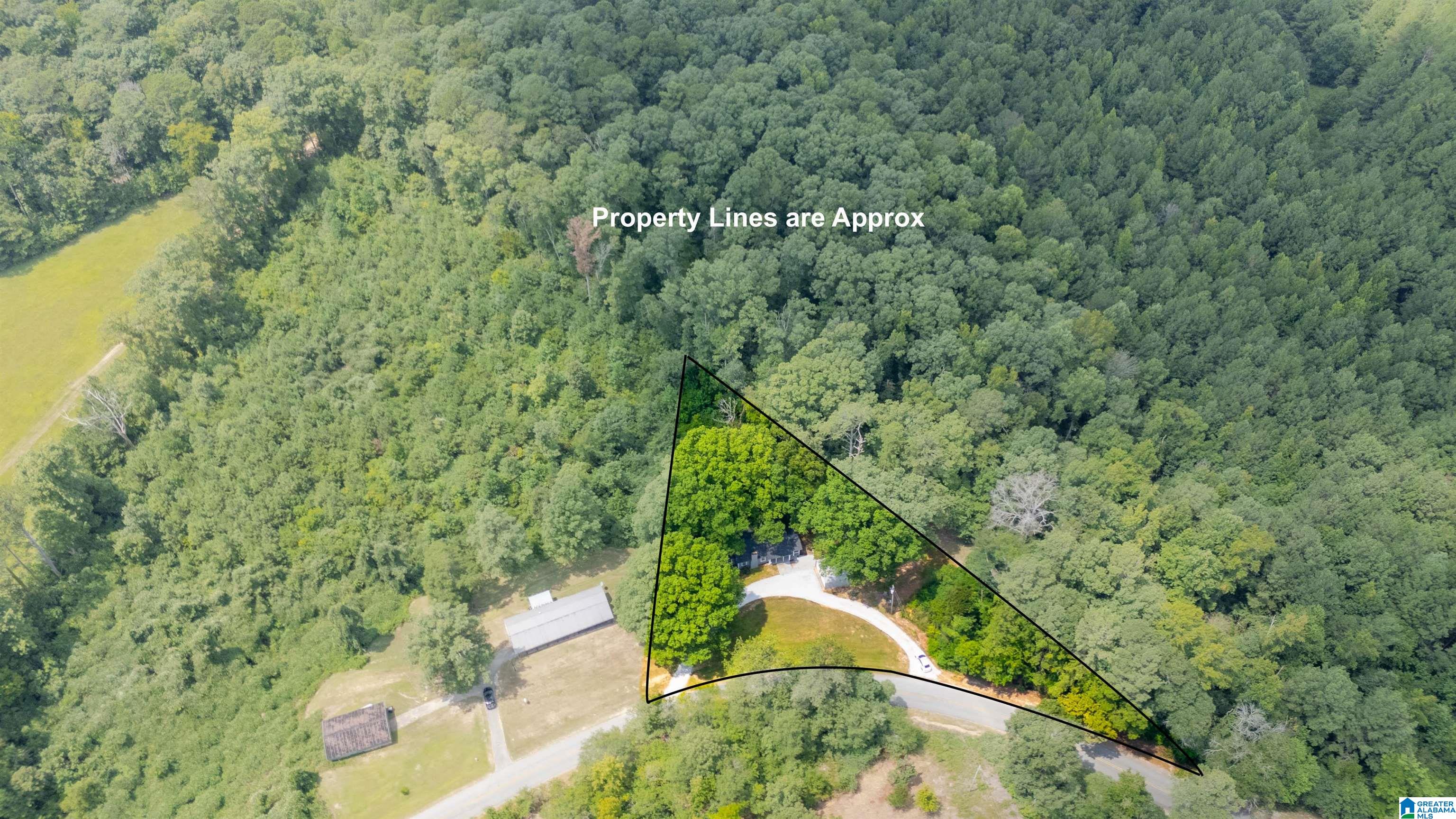 729 New Liberty Road Wellington, AL 36279 - Photo 4 of 29