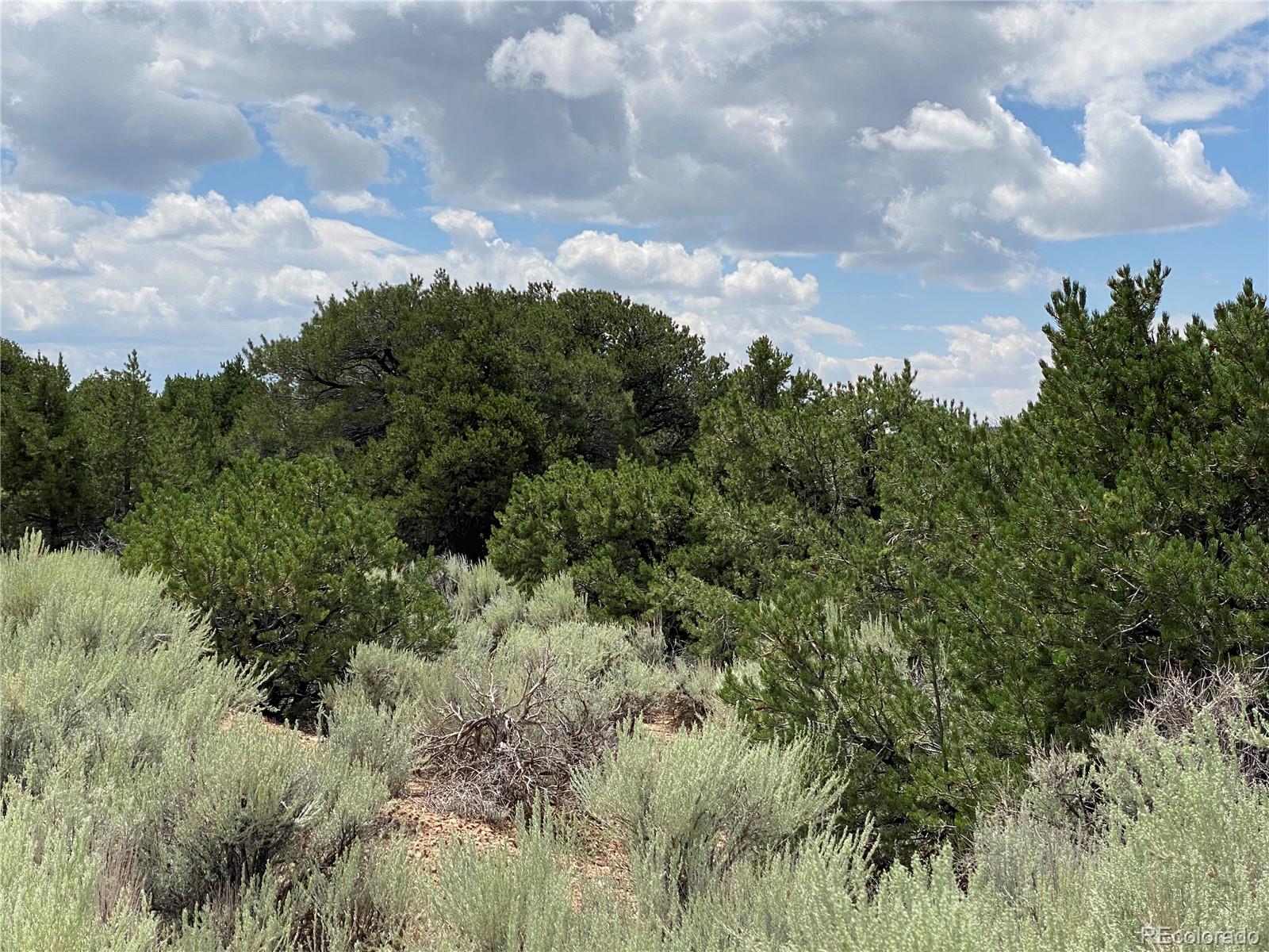 1352 Juarez Road San Luis, CO 81152 - Photo 4 of 9 Gallery Image 4