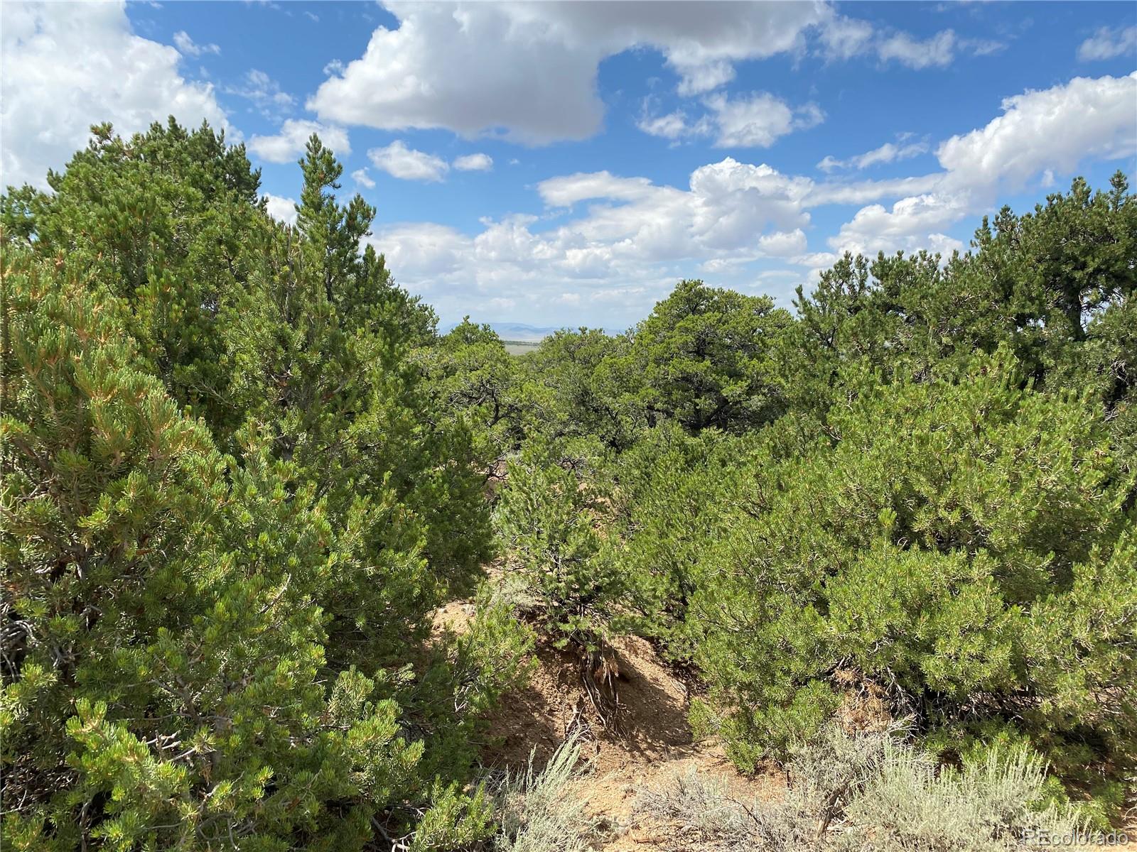 1352 Juarez Road San Luis, CO 81152 - Photo 6 of 9 Gallery Image 6