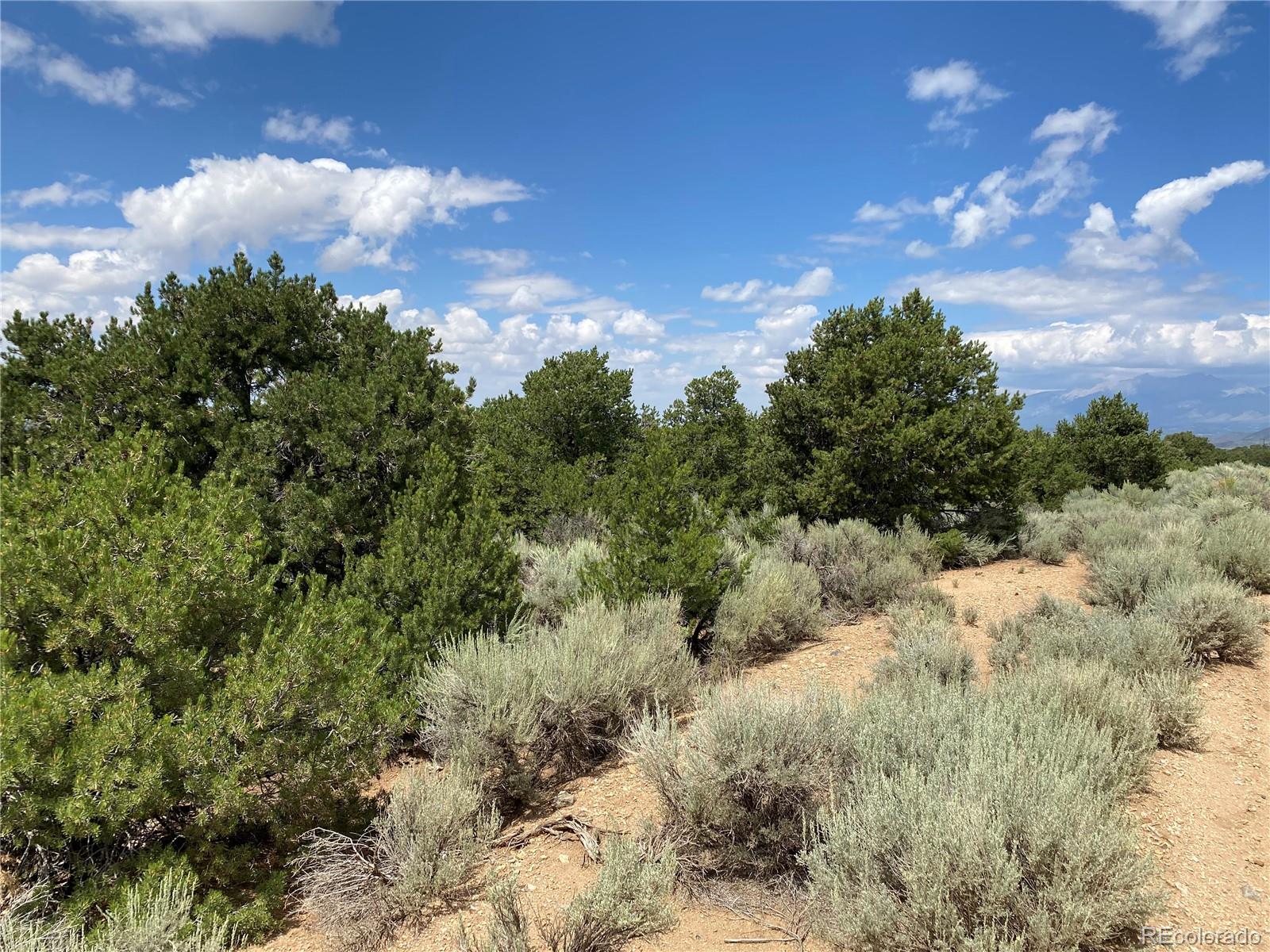 1352 Juarez Road San Luis, CO 81152 - Photo 9 of 9 Gallery Image 9