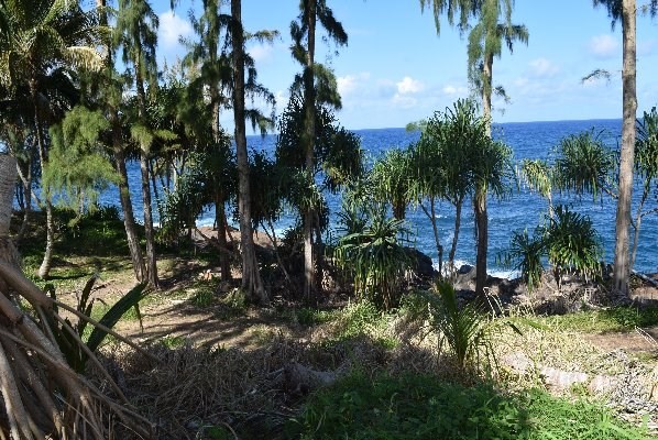 24 Lot Pepeekeo, HI 96783 - Photo 15 of 18