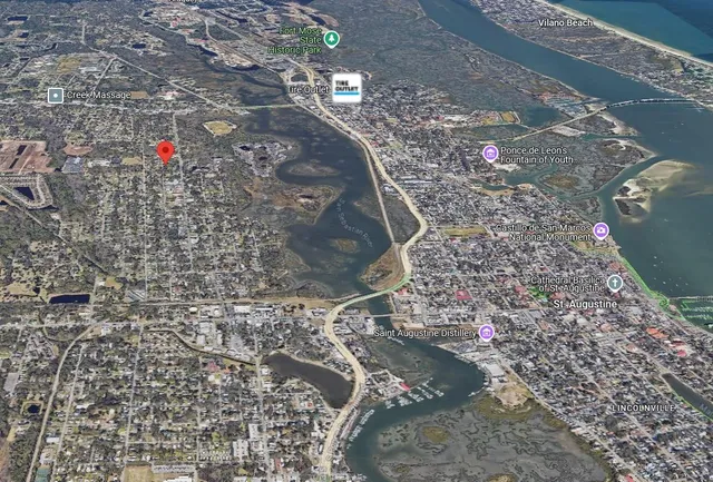 a backyard of a house with plants and large tree