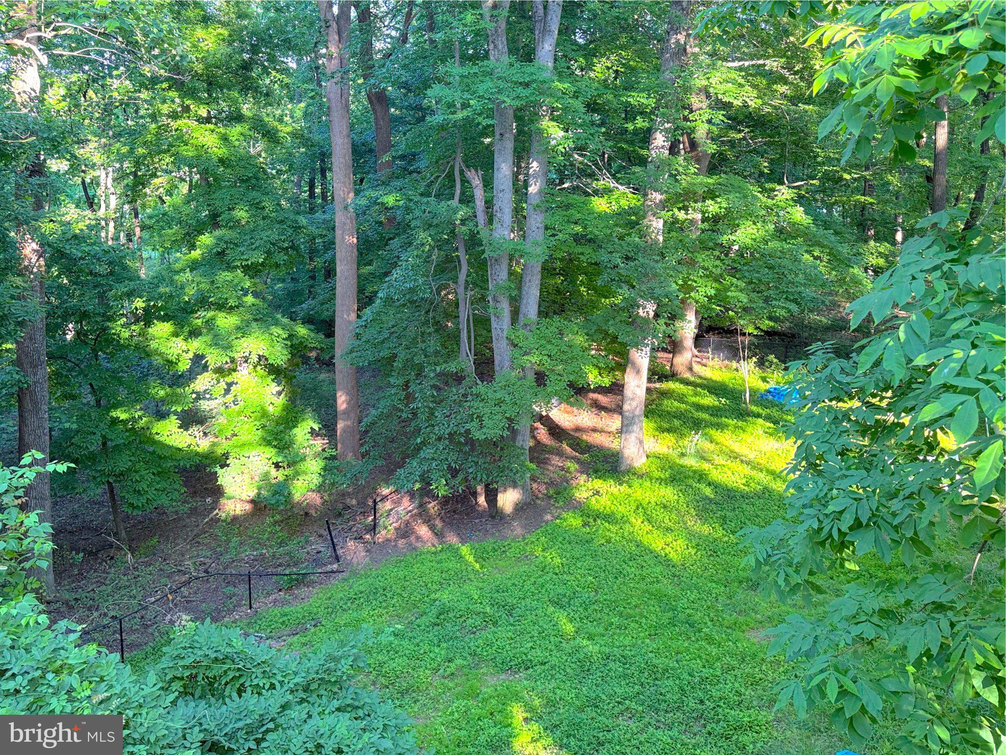 9006 Sidehill Road Ellicott City, MD 21042 - Photo 51 of 53 Lush green woodland retreat.