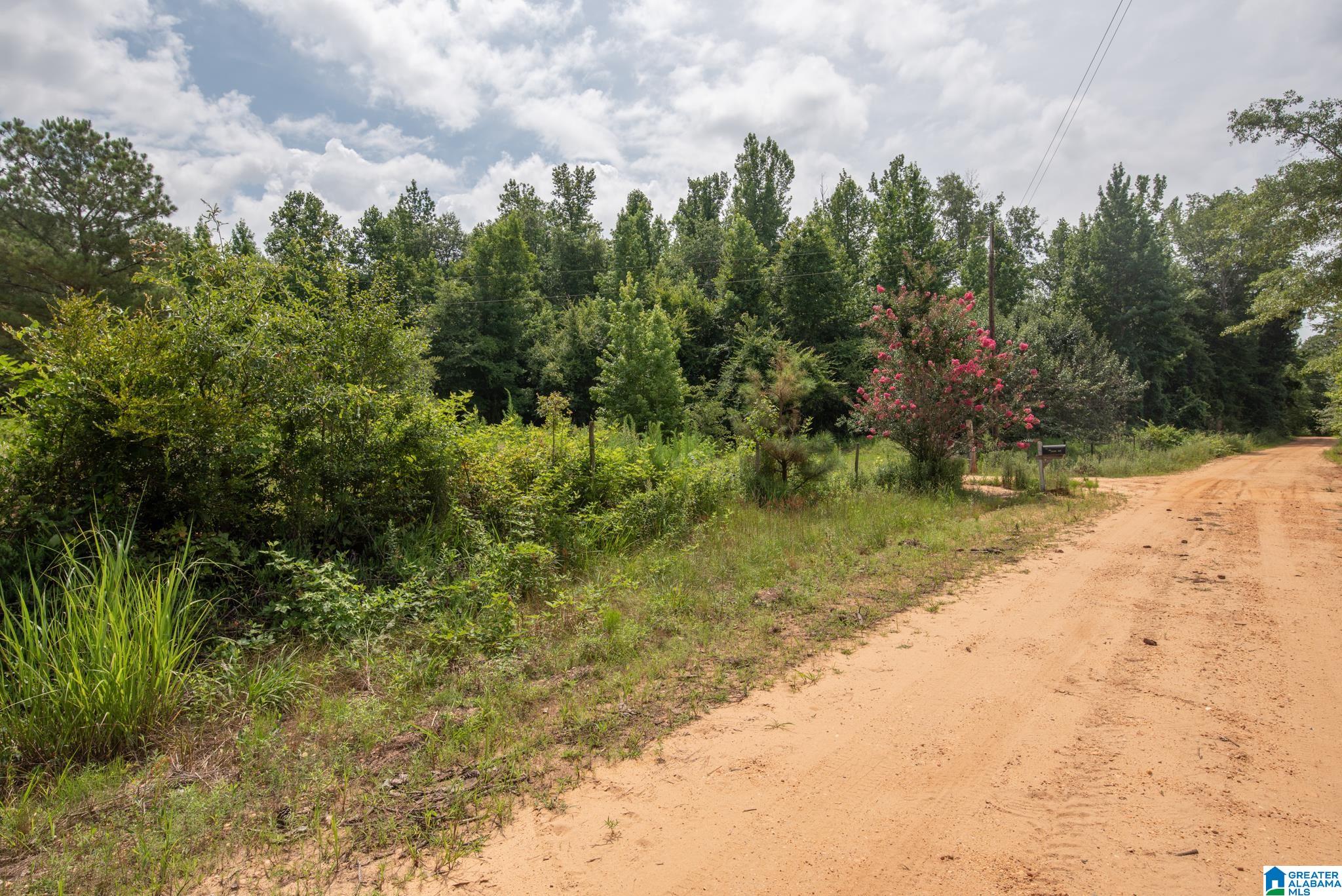 3025 Potato Patch Creek Road Marion, AL 36756 - Photo 7 of 24