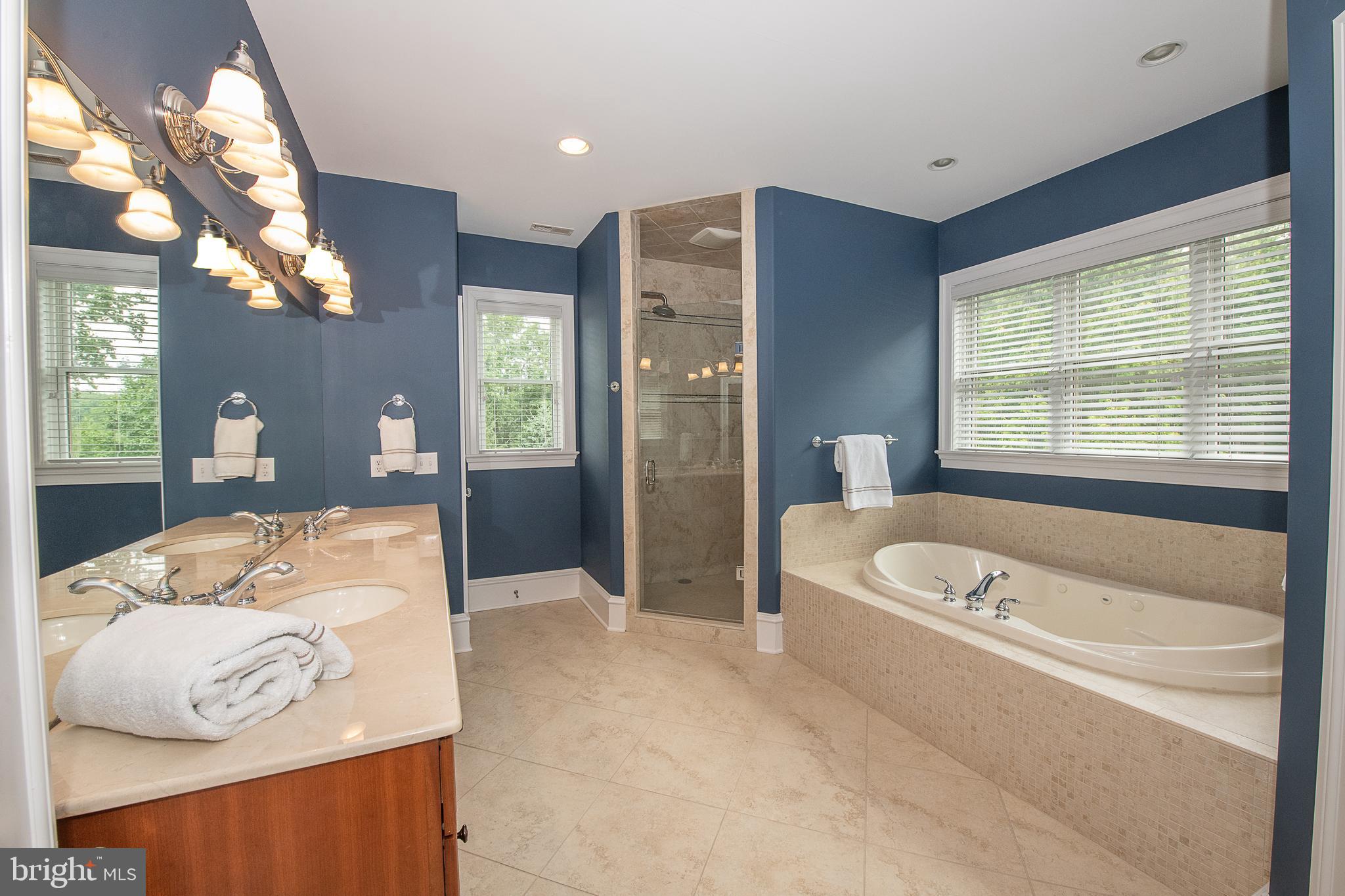 565 Huston Road Wayne, PA 19087 - Photo 15 of 28 Primary Bathroom