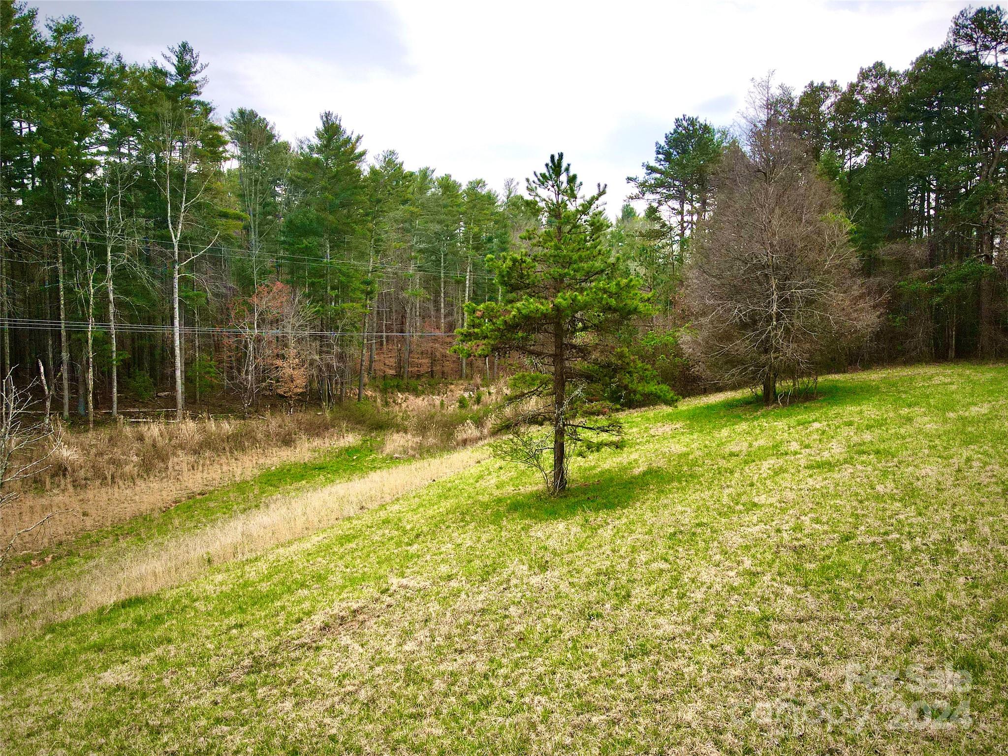 56 Tommy Ray Ridge, Unit 7 Weaverville, NC 28787 - Photo 12 of 18 a view of a backyard