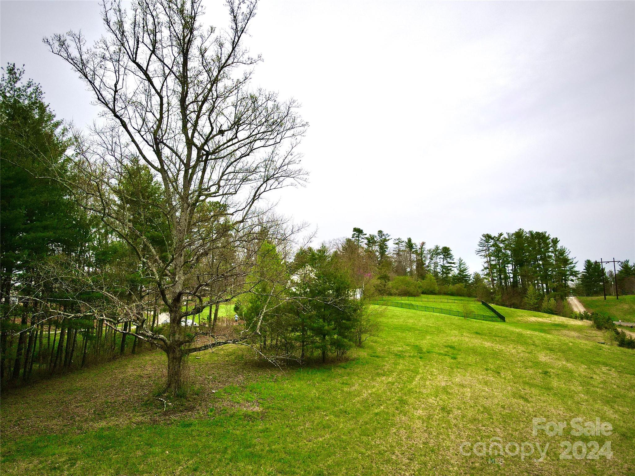 56 Tommy Ray Ridge, Unit 7 Weaverville, NC 28787 - Photo 14 of 18 a big yard with trees