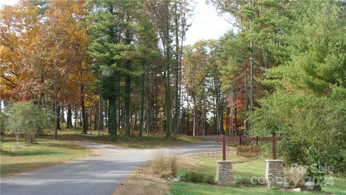 56 Tommy Ray Ridge, Unit 7 Weaverville, NC 28787 - Photo 15 of 18 a view of a park with large trees