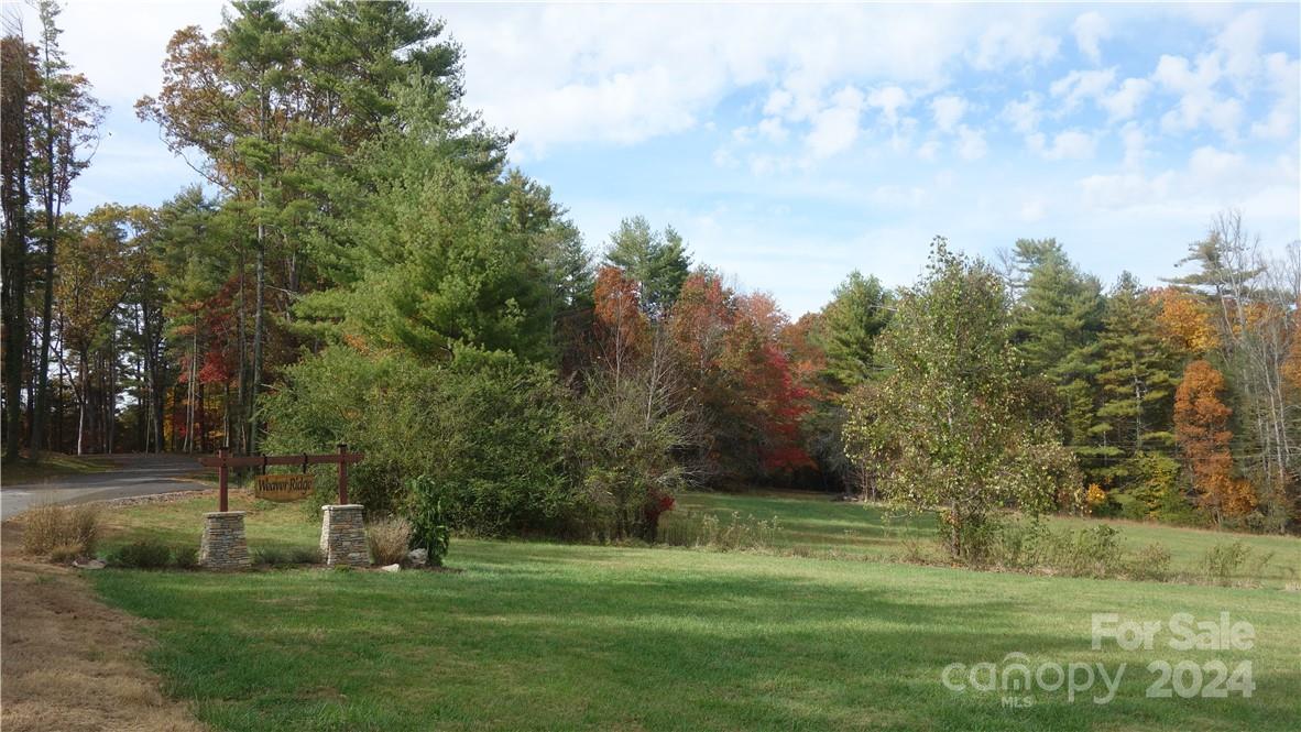56 Tommy Ray Ridge, Unit 7 Weaverville, NC 28787 - Photo 16 of 18 a grassy field with trees in the background