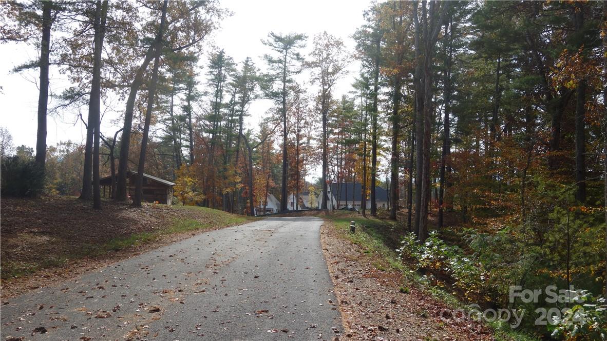56 Tommy Ray Ridge, Unit 7 Weaverville, NC 28787 - Photo 17 of 18 a view of a field with trees in the background