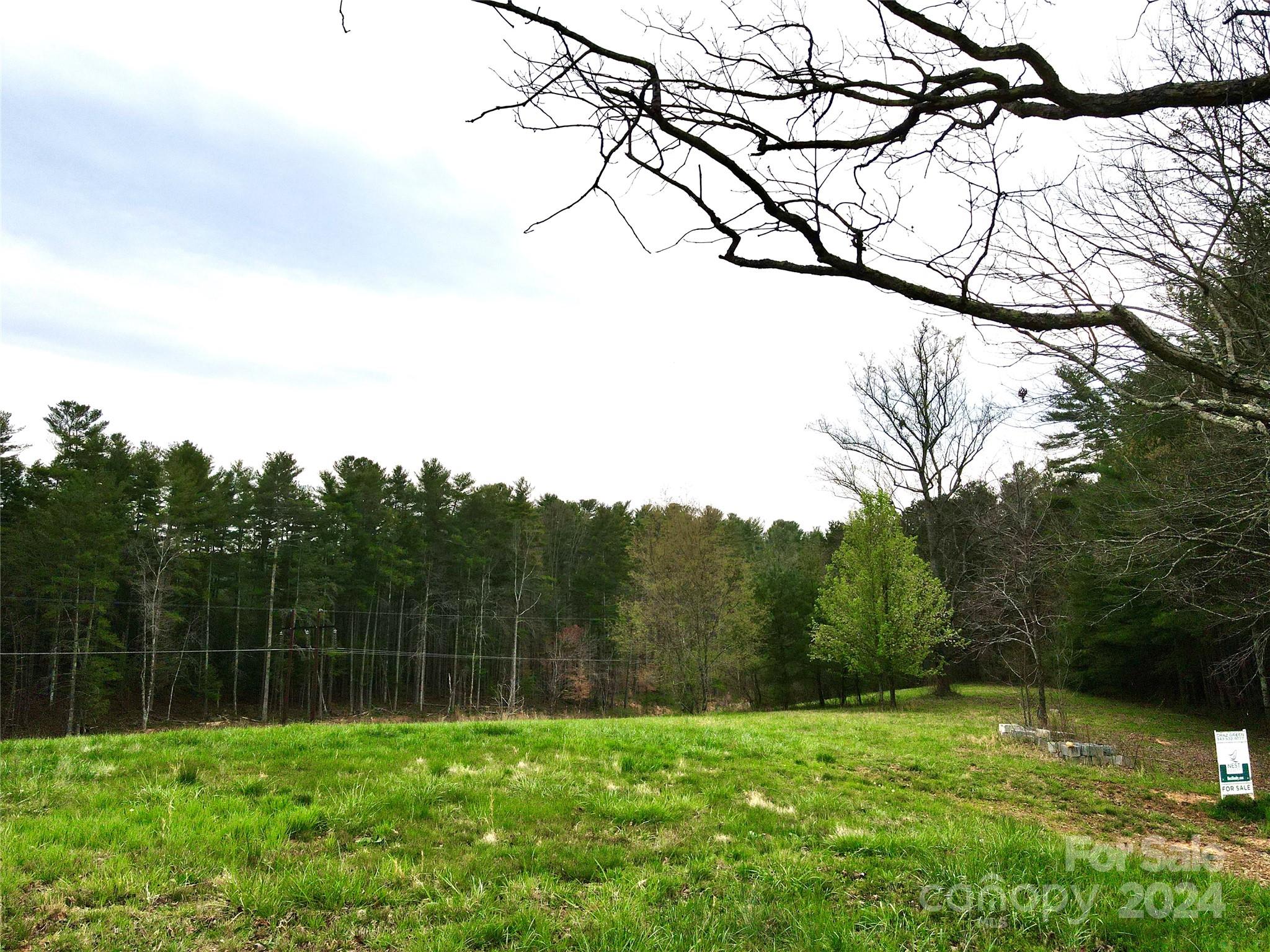 56 Tommy Ray Ridge, Unit 7 Weaverville, NC 28787 - Photo 10 of 18