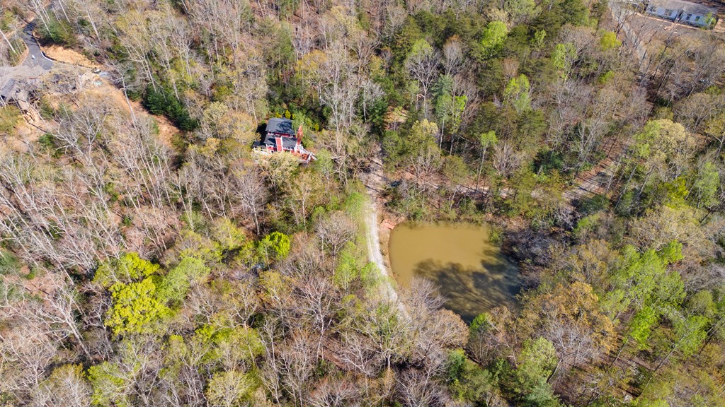 435 Richlen Rdg Road Morganton, GA 30560 - Photo 51 of 54 Gallery Image 51