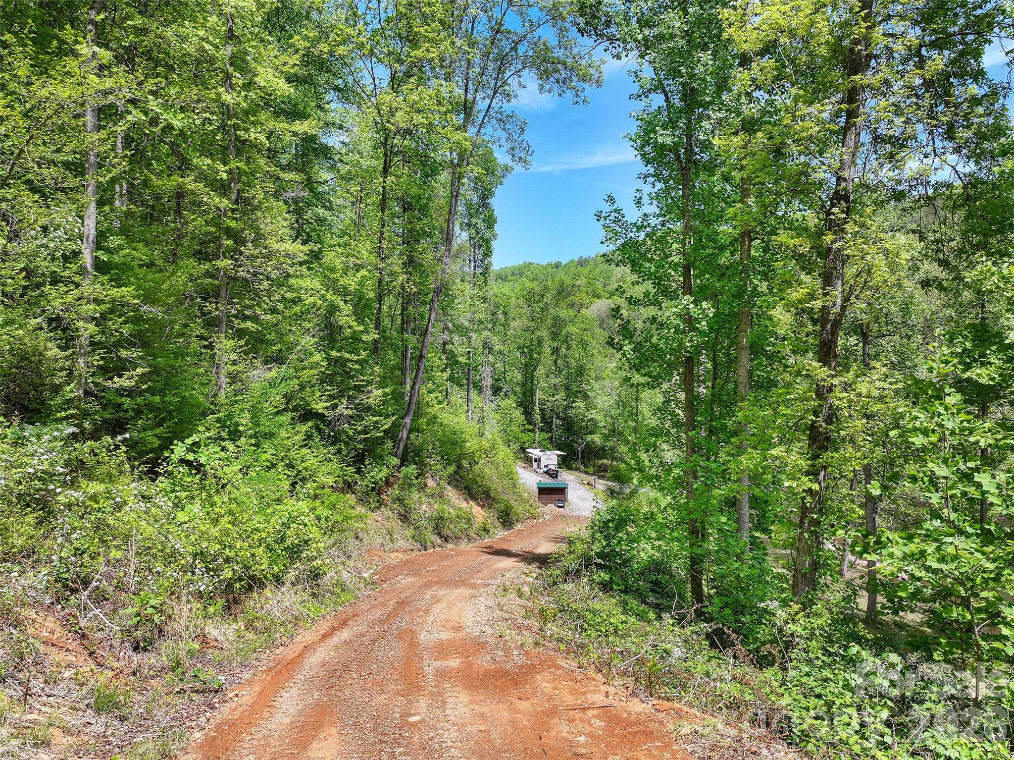 788 Cowee Tunl Road Sylva, NC 28779 - Photo 11 of 31 a view of a garden with a lake