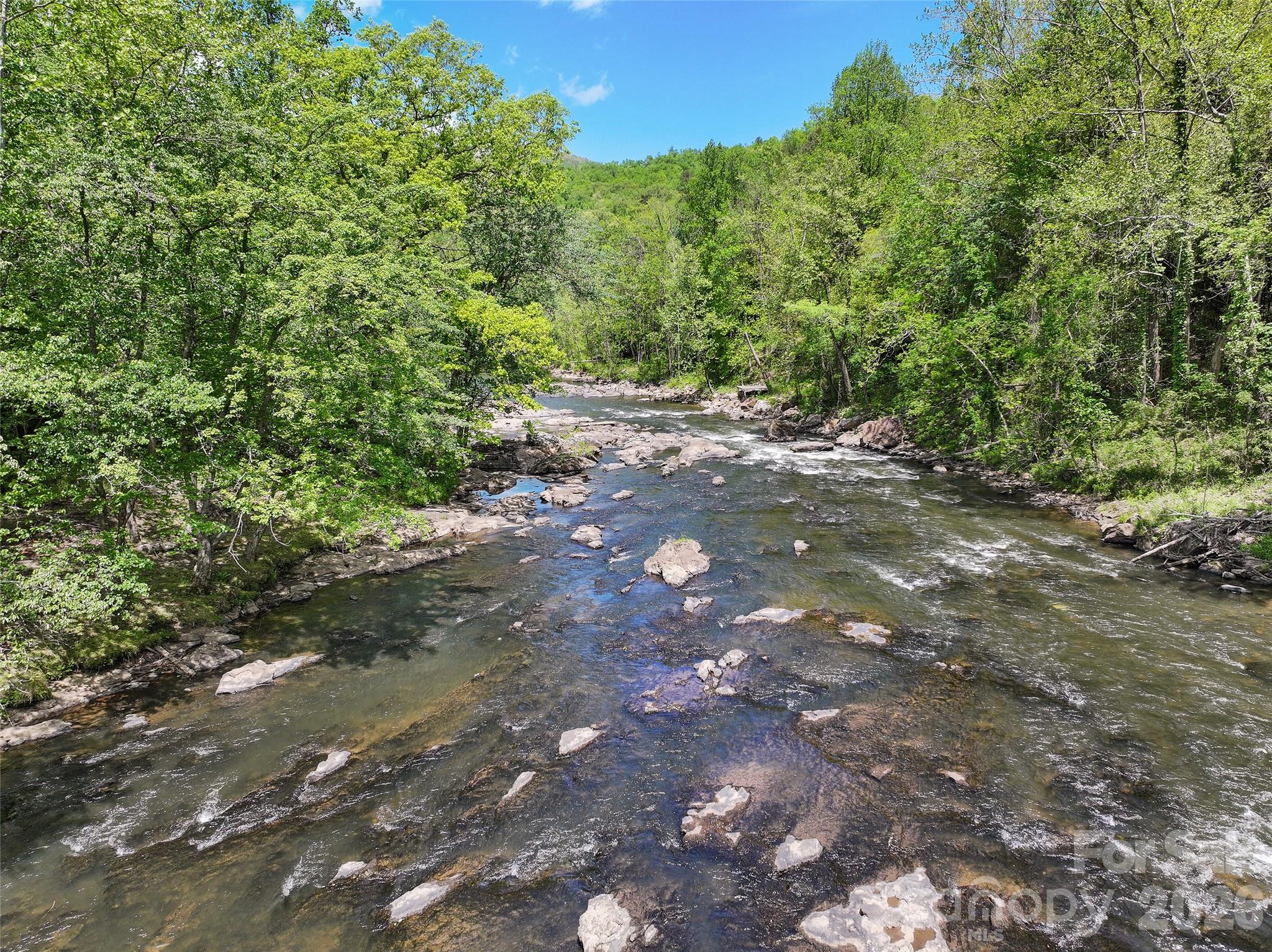 788 Cowee Tunl Road Sylva, NC 28779 - Photo 20 of 31 a view of a forest with trees