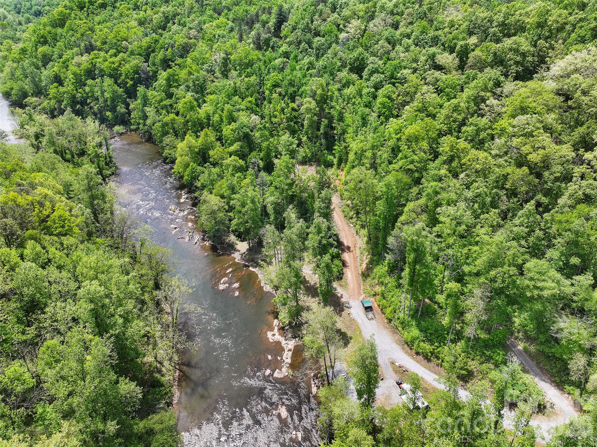 788 Cowee Tunl Road Sylva, NC 28779 - Photo 8 of 31 a view of a forest with a tree