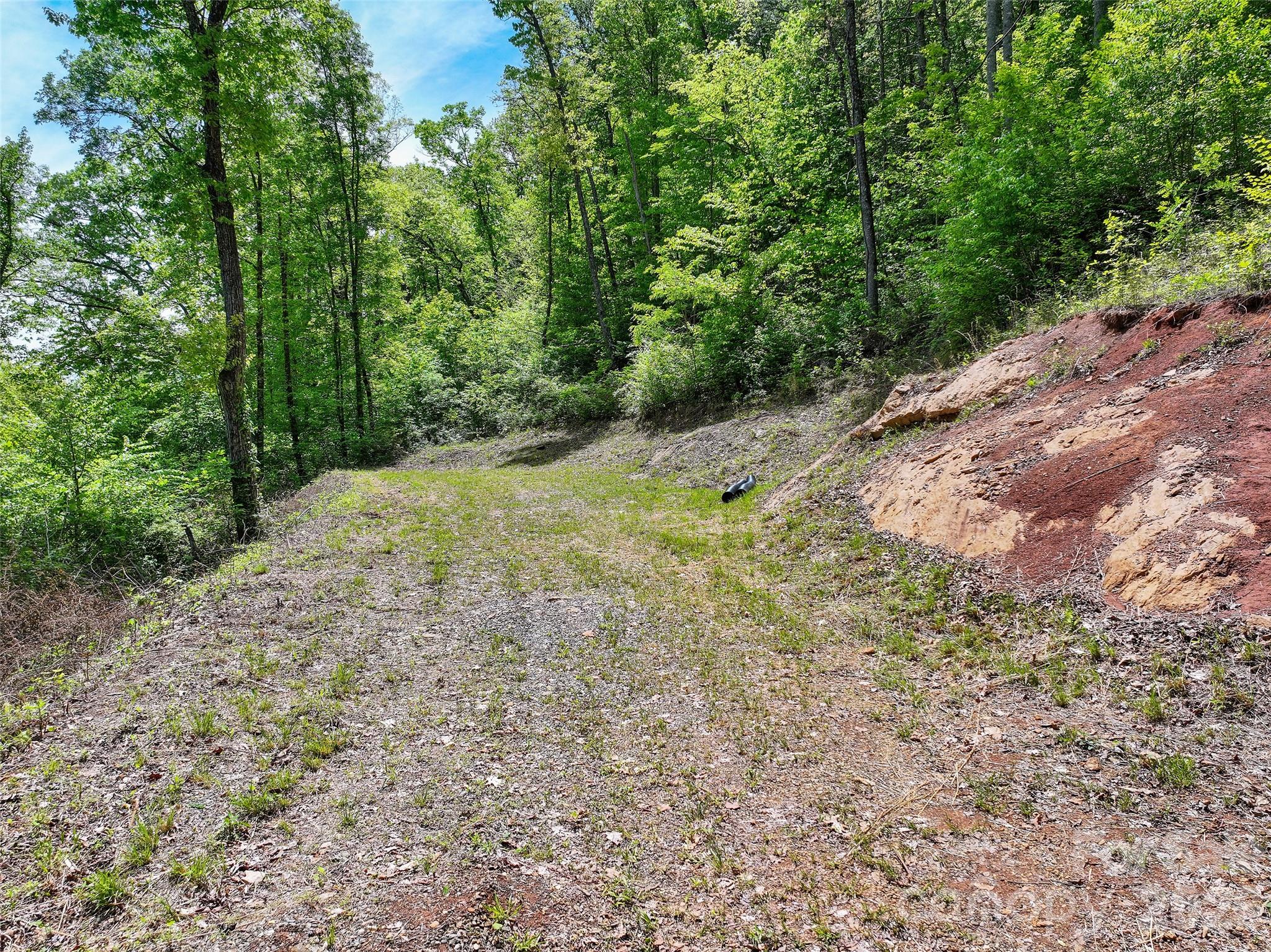 788 Cowee Tunl Road Sylva, NC 28779 - Photo 10 of 31 a view of a yard with plants and trees