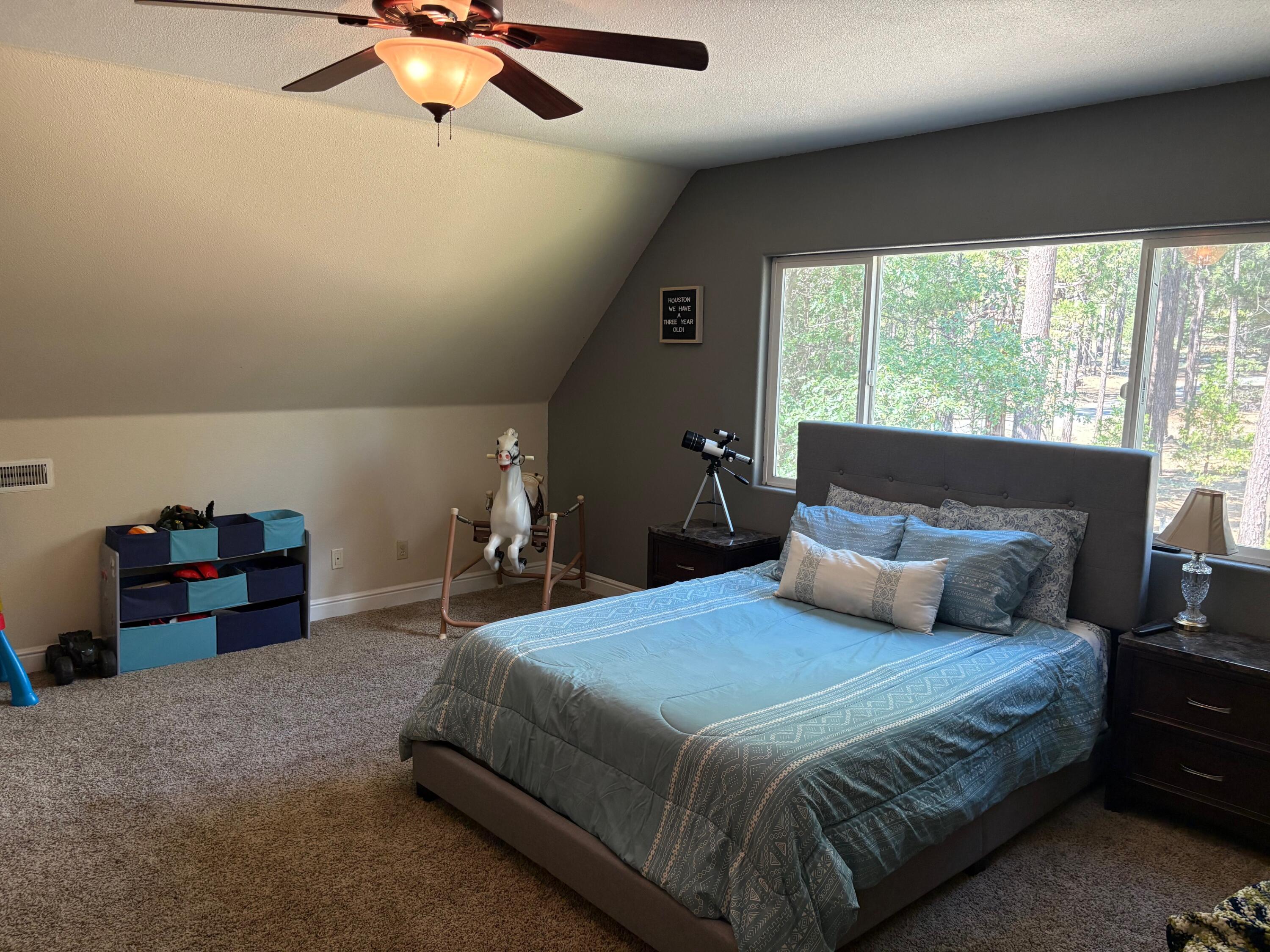 40596 Old School Road Fall River Mills, CA 96028 - Photo 25 of 29 a bedroom with a bed and a chandelier