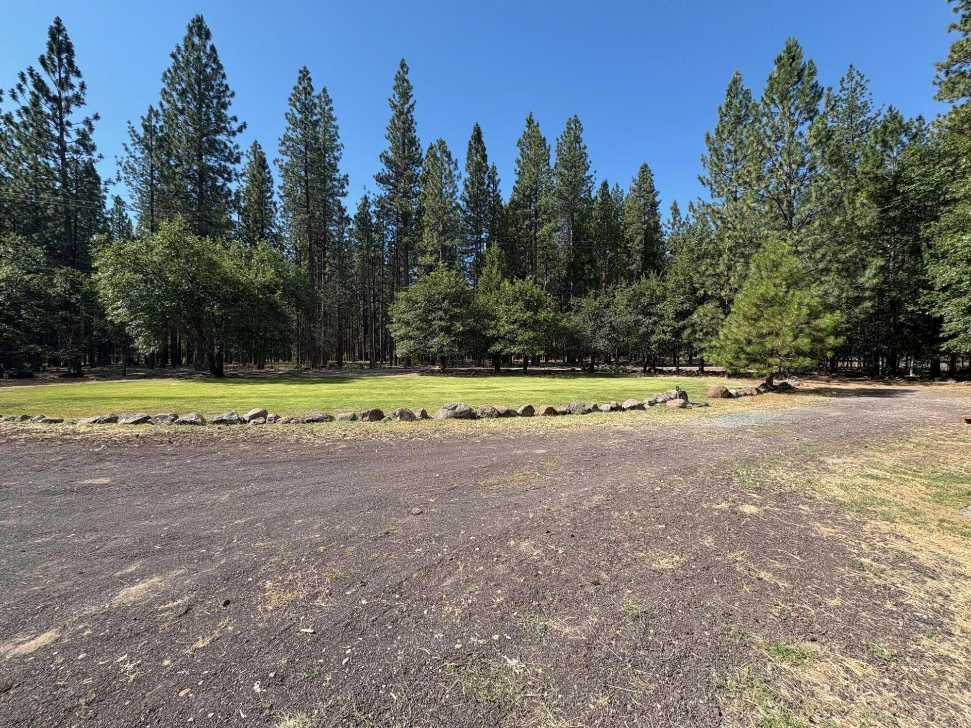 40596 Old School Road Fall River Mills, CA 96028 - Photo 5 of 29 a view of a swimming pool and a yard
