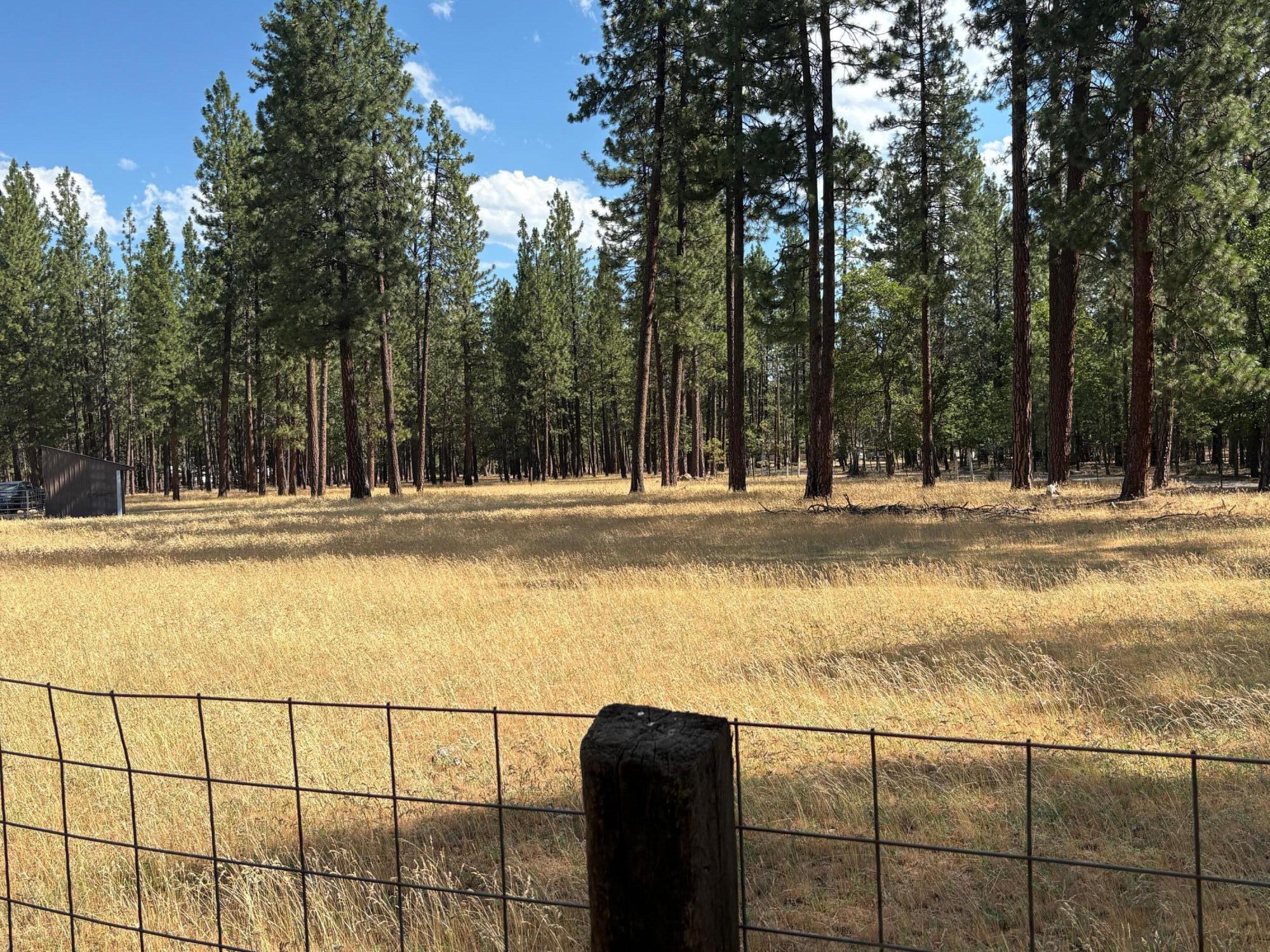 40596 Old School Road Fall River Mills, CA 96028 - Photo 6 of 29 a view of water and trees