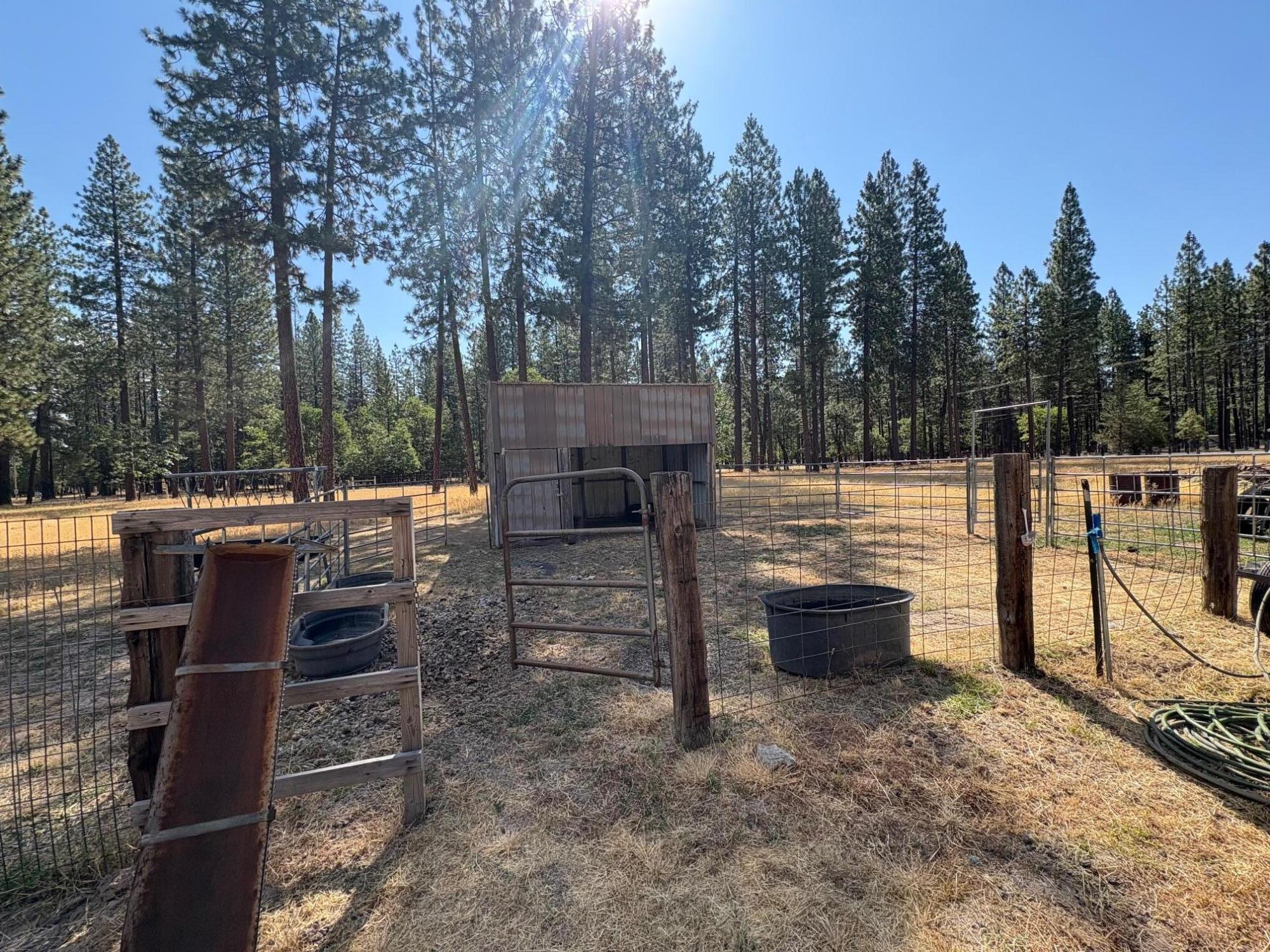 40596 Old School Road Fall River Mills, CA 96028 - Photo 7 of 29