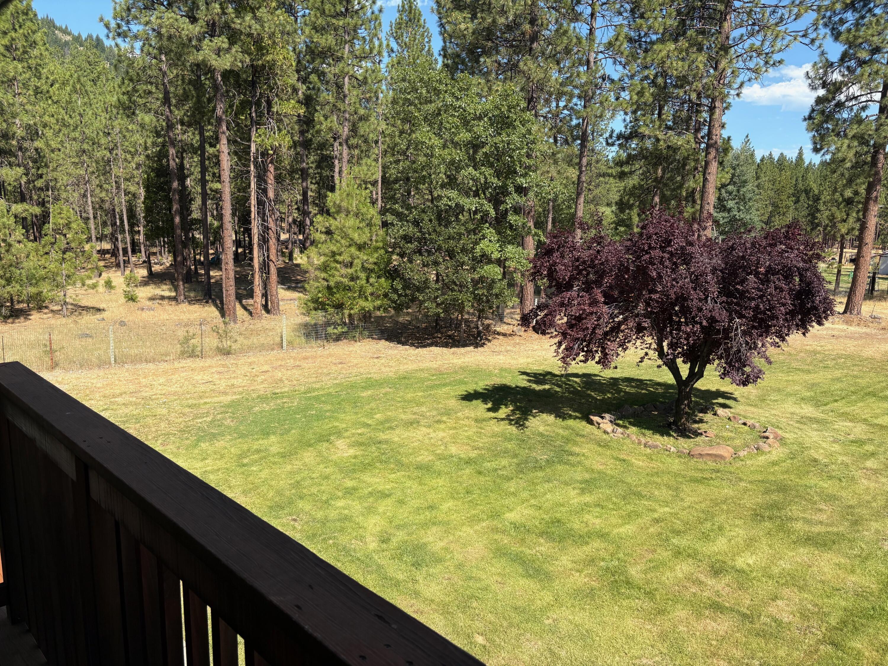 40596 Old School Road Fall River Mills, CA 96028 - Photo 10 of 29 a view of swimming pool from a yard