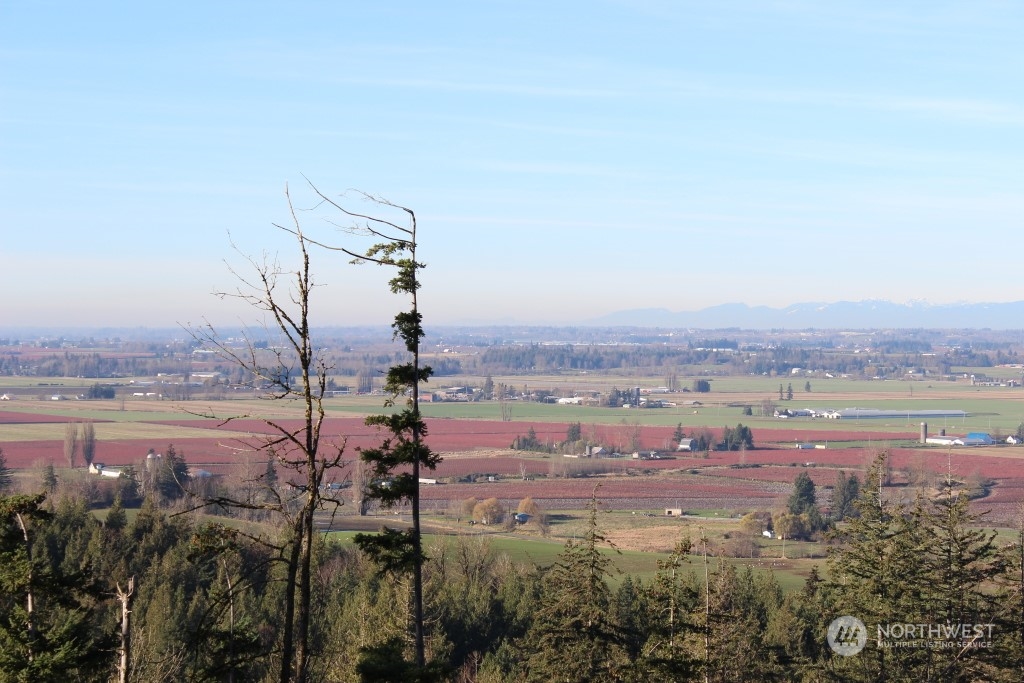 8434 North Pass Road Everson, WA 98247 - Photo 1 of 17