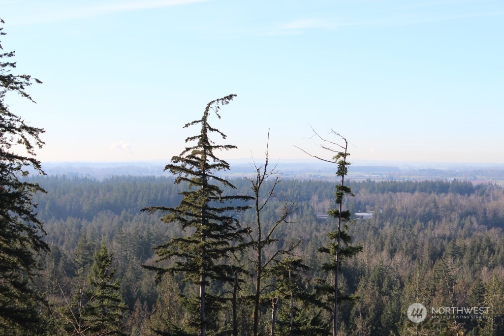 8434 North Pass Road Everson, WA 98247 - Photo 12 of 17