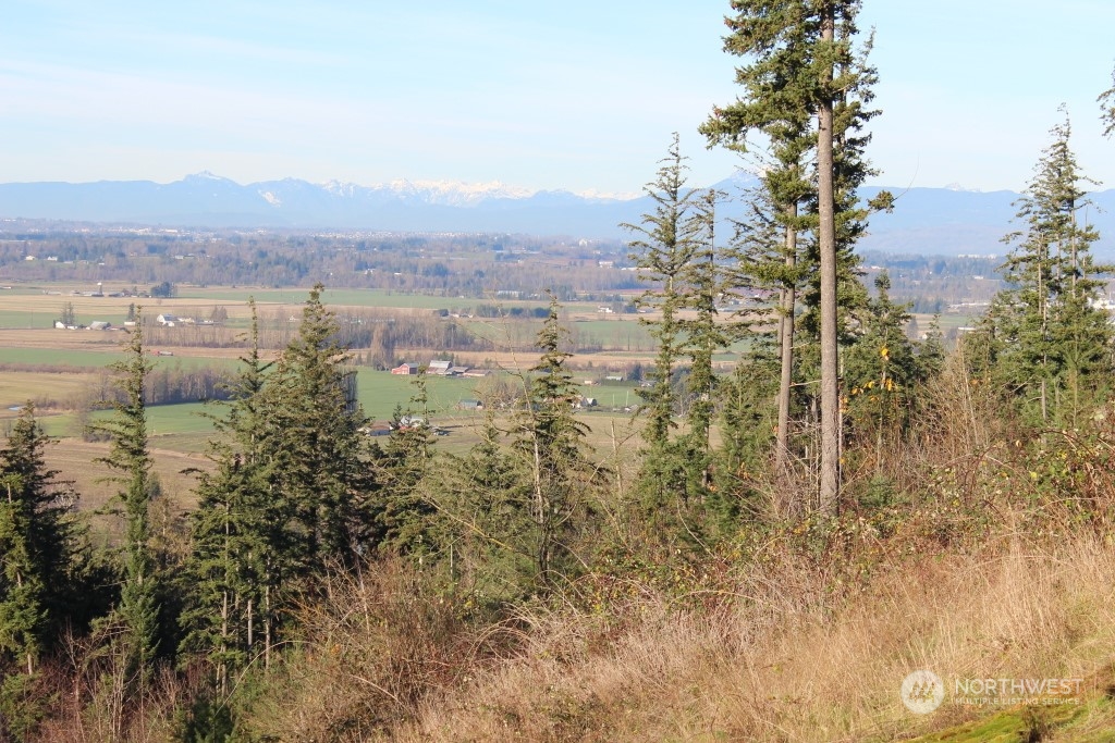 8434 North Pass Road Everson, WA 98247 - Photo 13 of 17