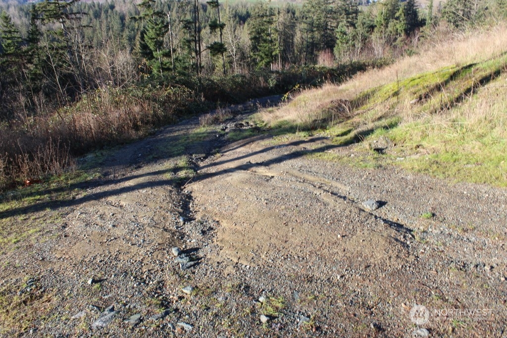 8434 North Pass Road Everson, WA 98247 - Photo 8 of 17