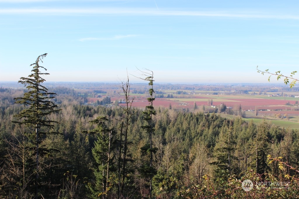 8434 North Pass Road Everson, WA 98247 - Photo 9 of 17