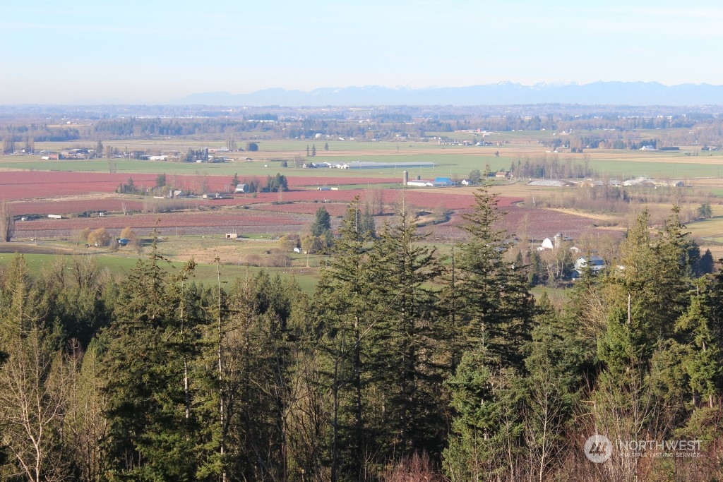 8434 North Pass Road Everson, WA 98247 - Photo 10 of 17