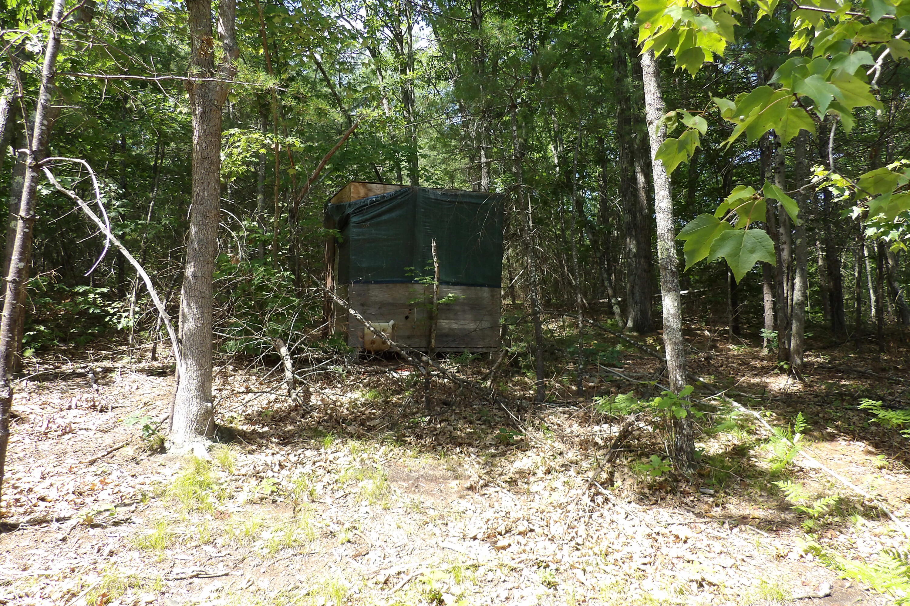 23 Abbott Mountain Road Shapleigh, ME 04076 - Photo 18 of 19 20. Abbott Mt - Shed