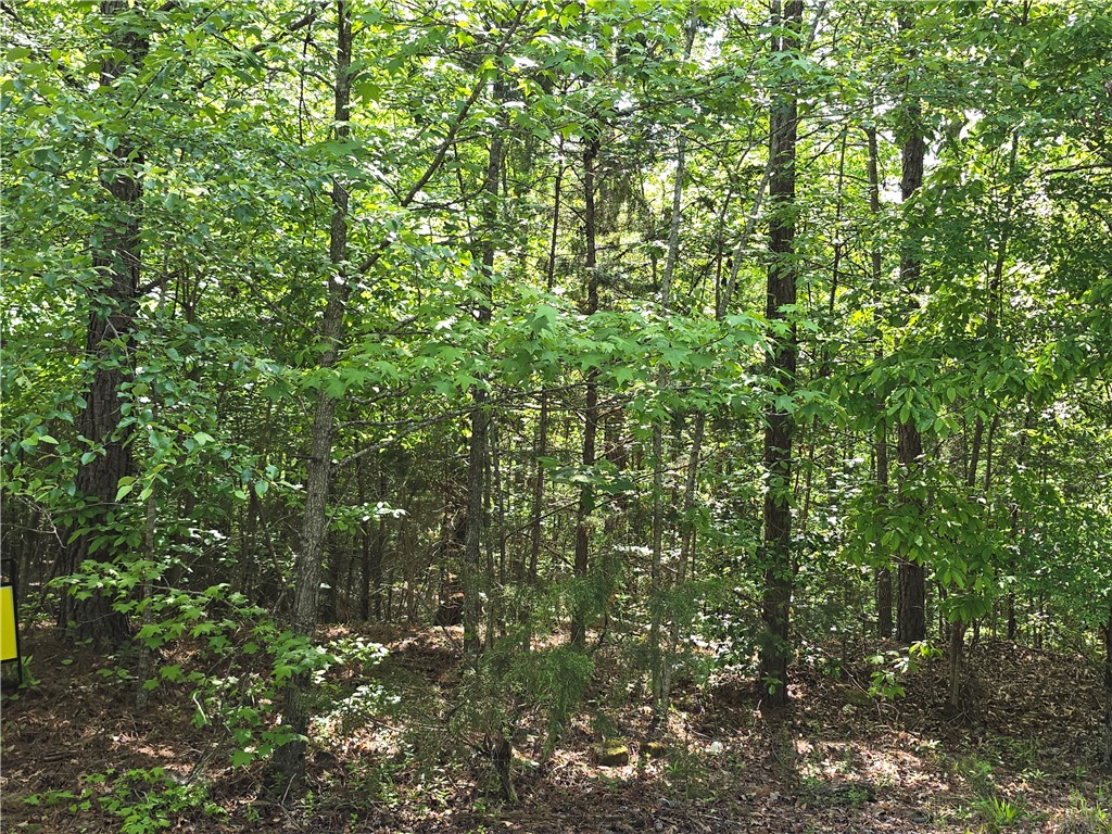 120 P-14-64 Anderson, SC 29621 - Photo 2 of 3