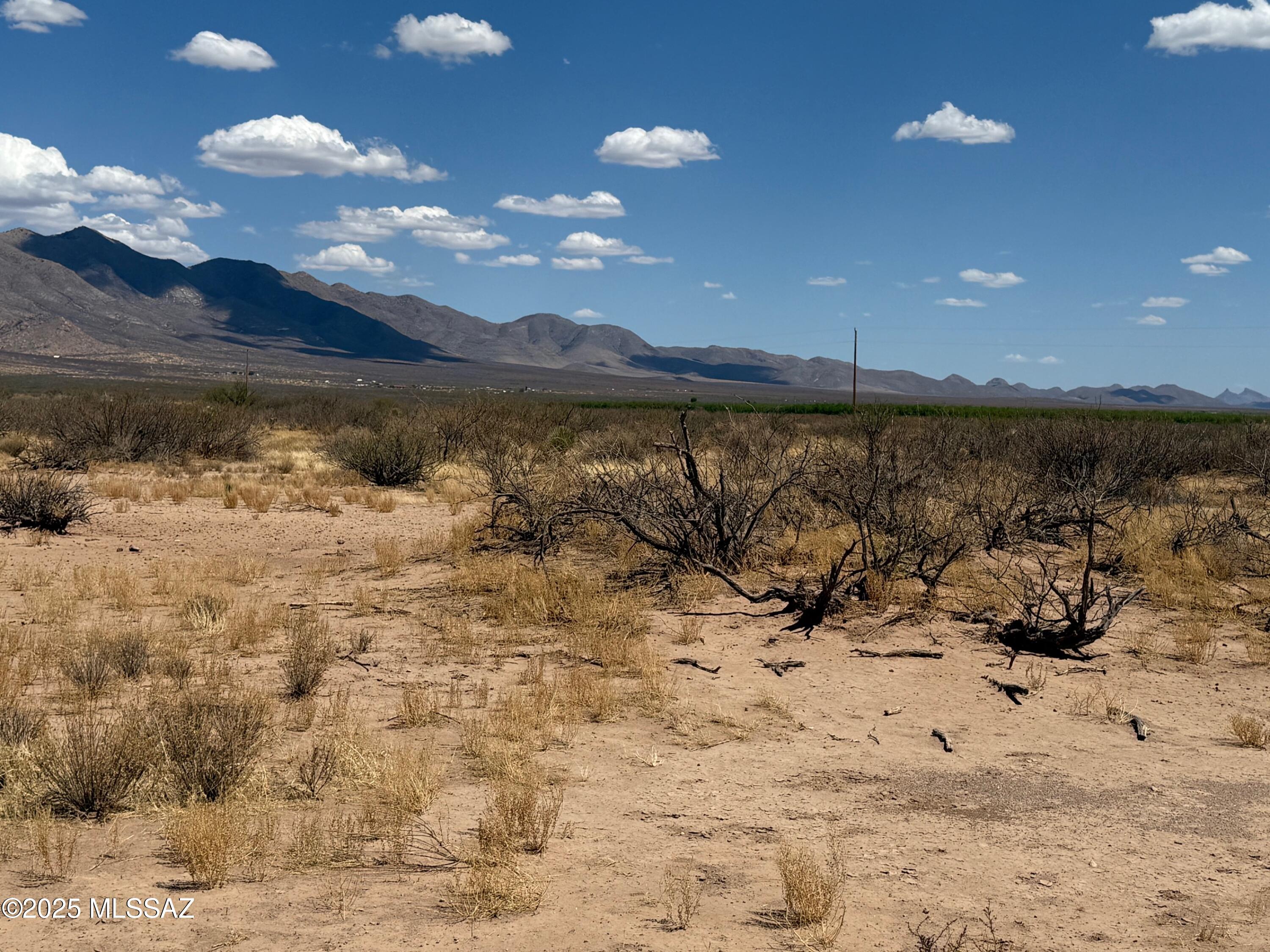 80-ac West Gleeson Road Elfrida, AZ 85610 - Photo 8 of 12 Gallery Image 8