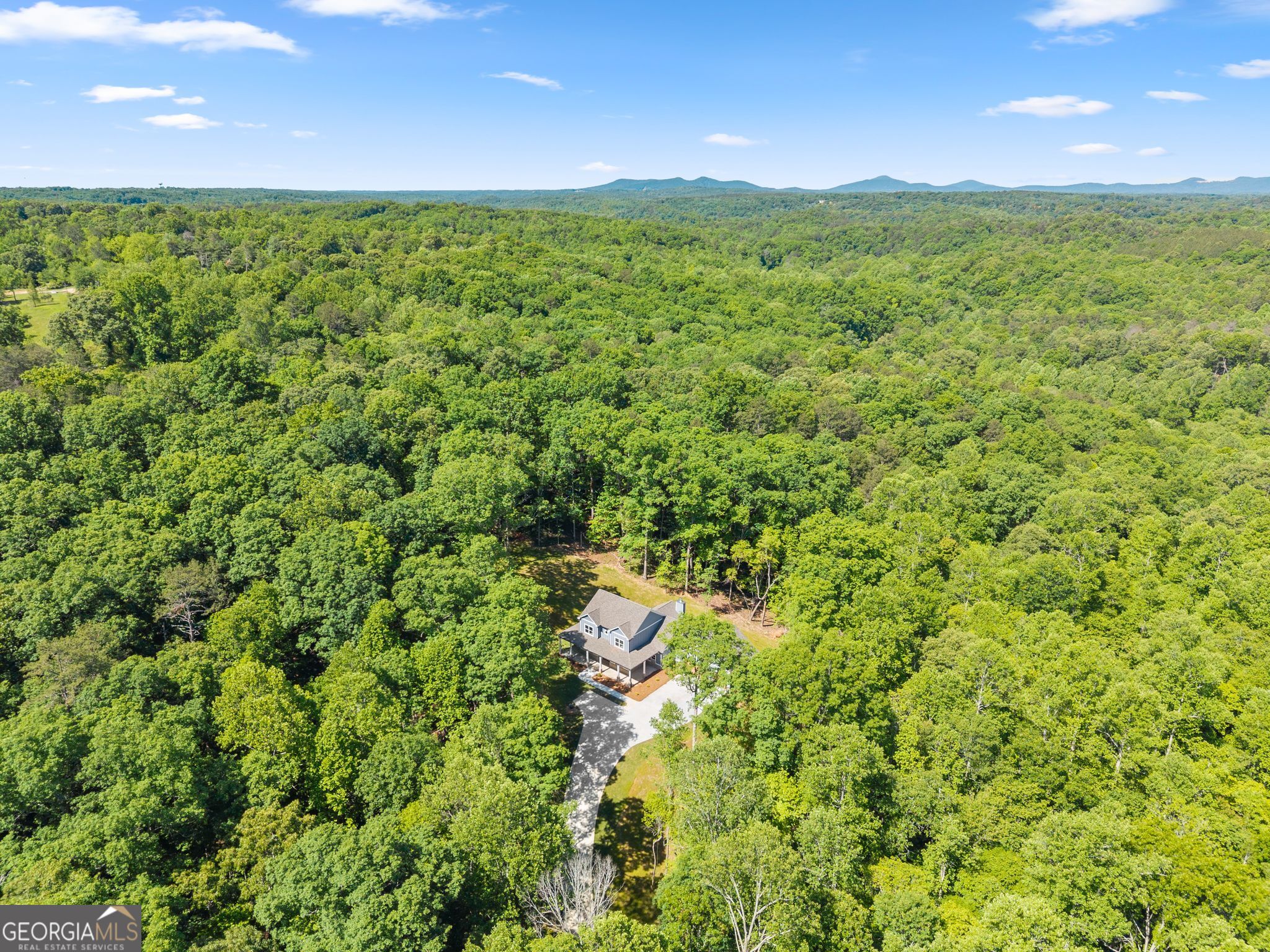 329 Twisting Ridge Trail Demorest, GA 30535 - Photo 41 of 43