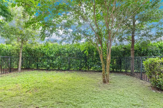 a backyard of a house with plants and large trees