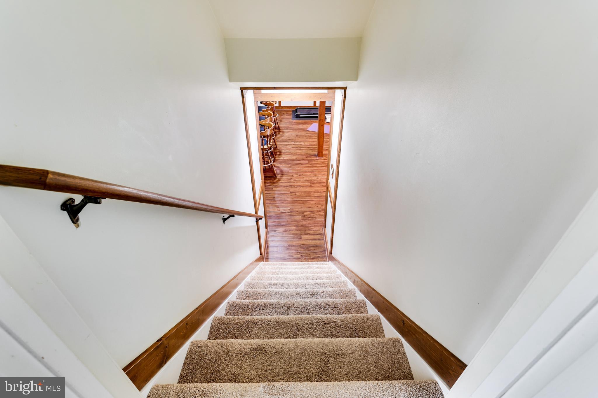 5258 O'Faly Road Fairfax, VA 22030 - Photo 33 of 57 steps to recreation room