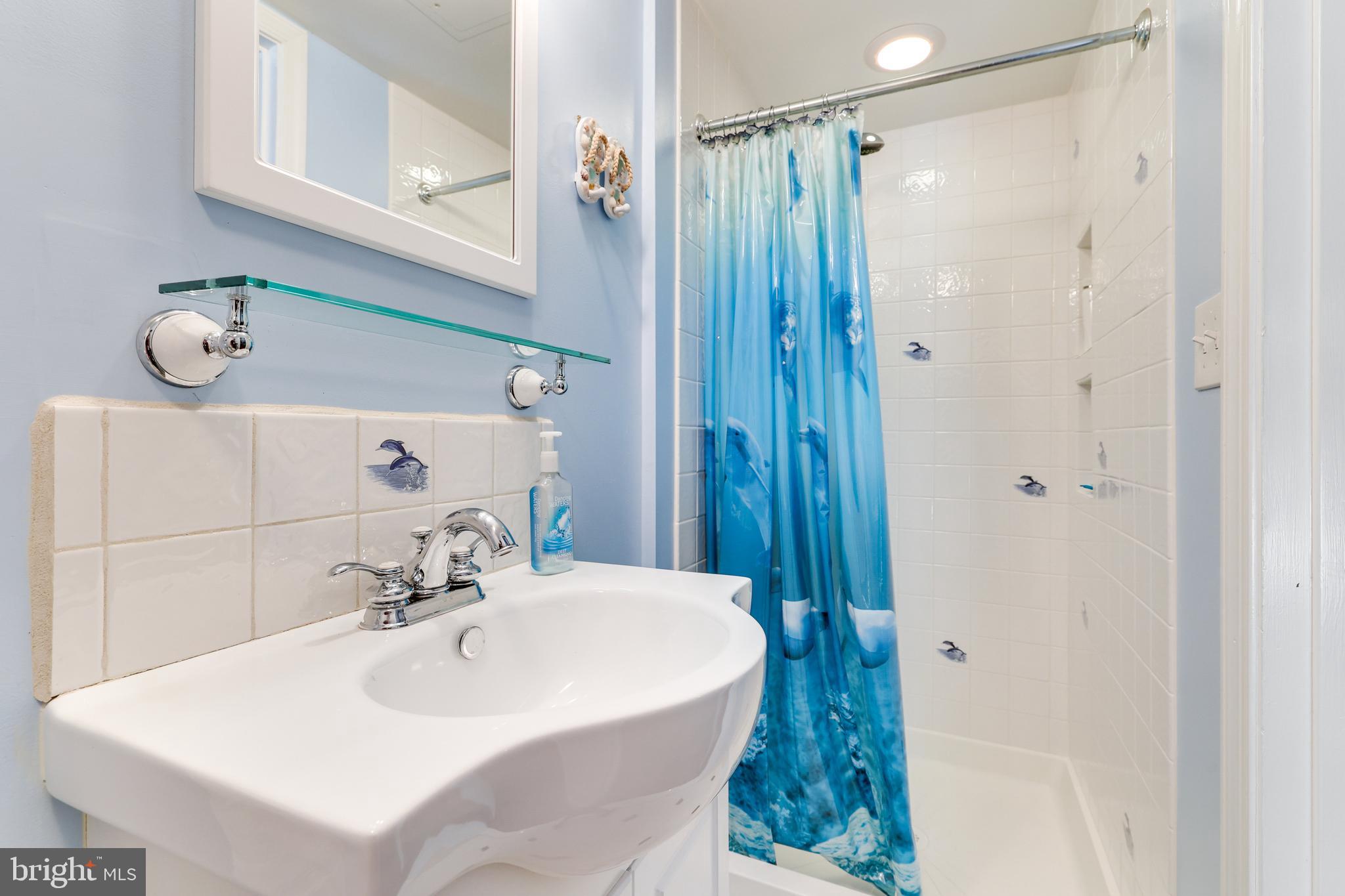 5258 O'Faly Road Fairfax, VA 22030 - Photo 38 of 57 Shower after a swim