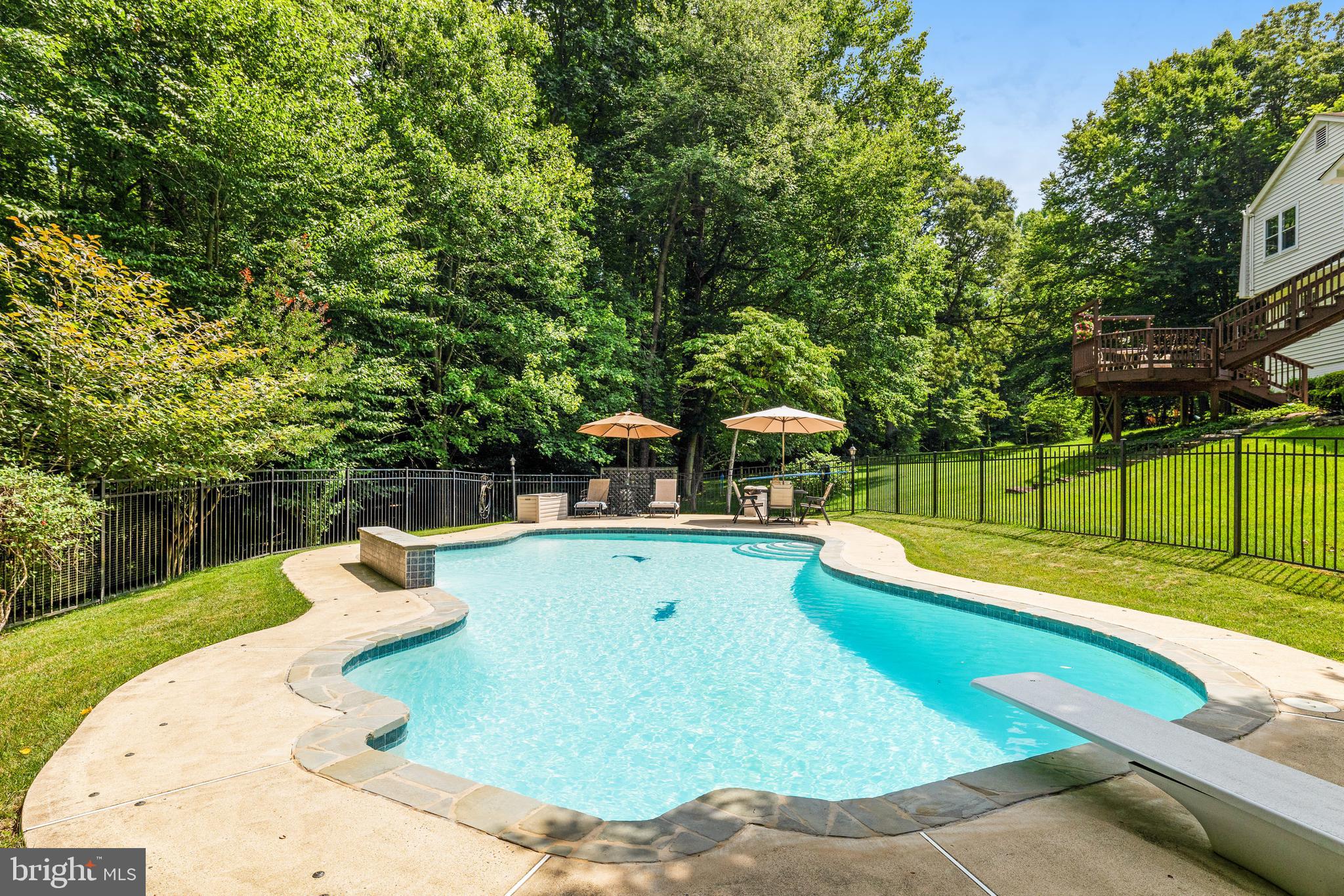 5258 O'Faly Road Fairfax, VA 22030 - Photo 46 of 57 Diving Board