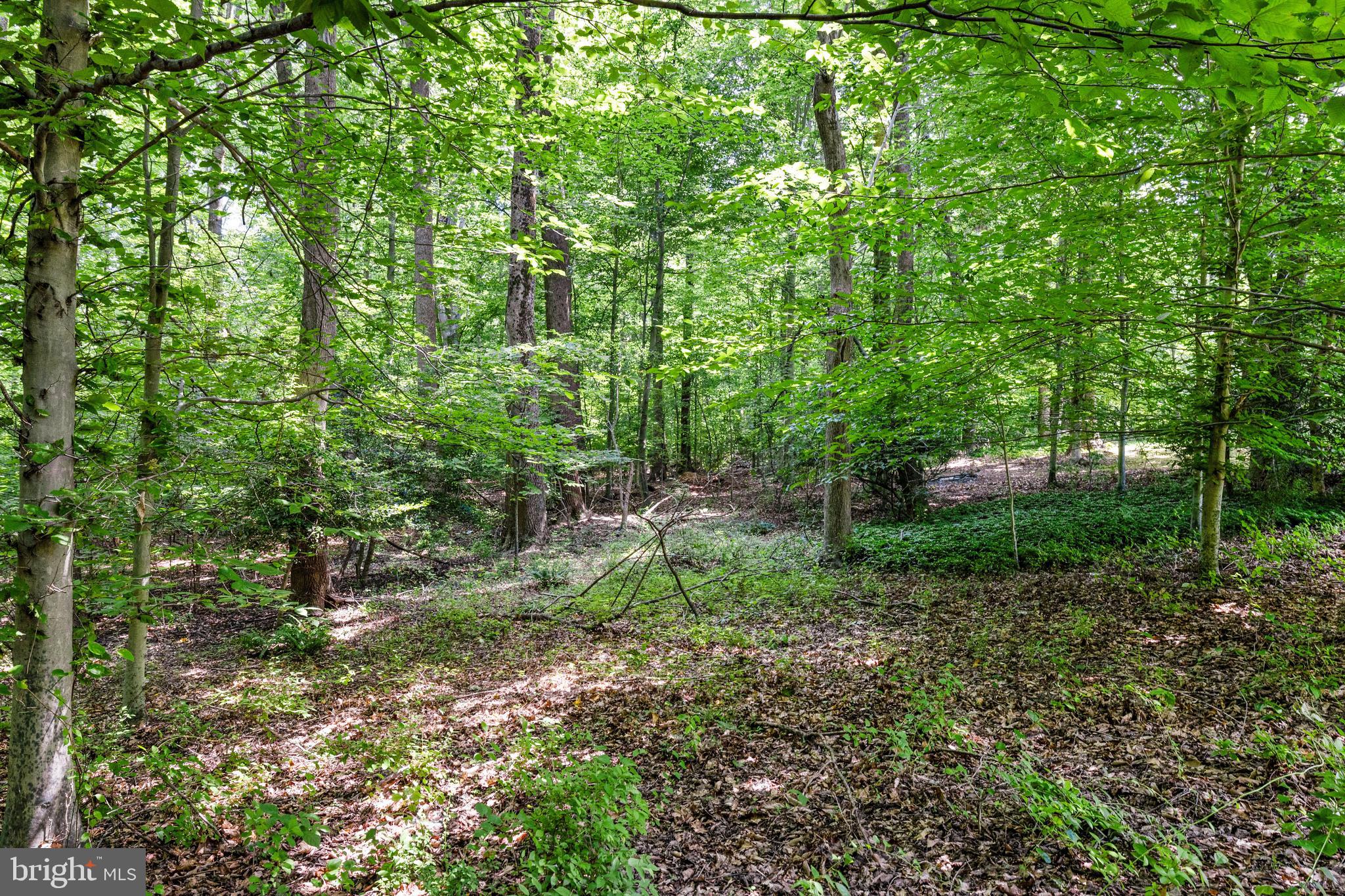 5258 O'Faly Road Fairfax, VA 22030 - Photo 52 of 57 Walk to Popes Head Creek