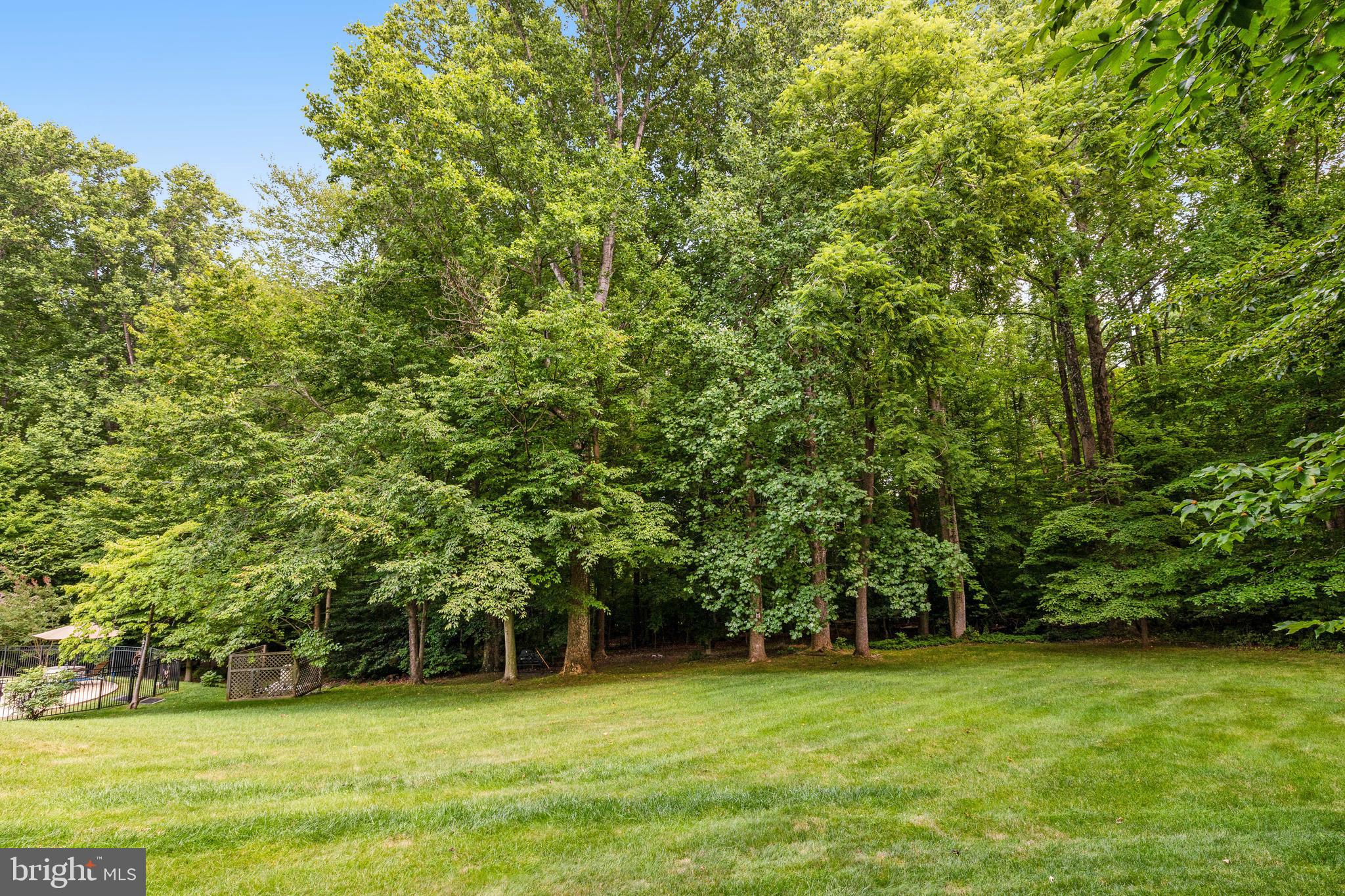 5258 O'Faly Road Fairfax, VA 22030 - Photo 53 of 57 Room for sports