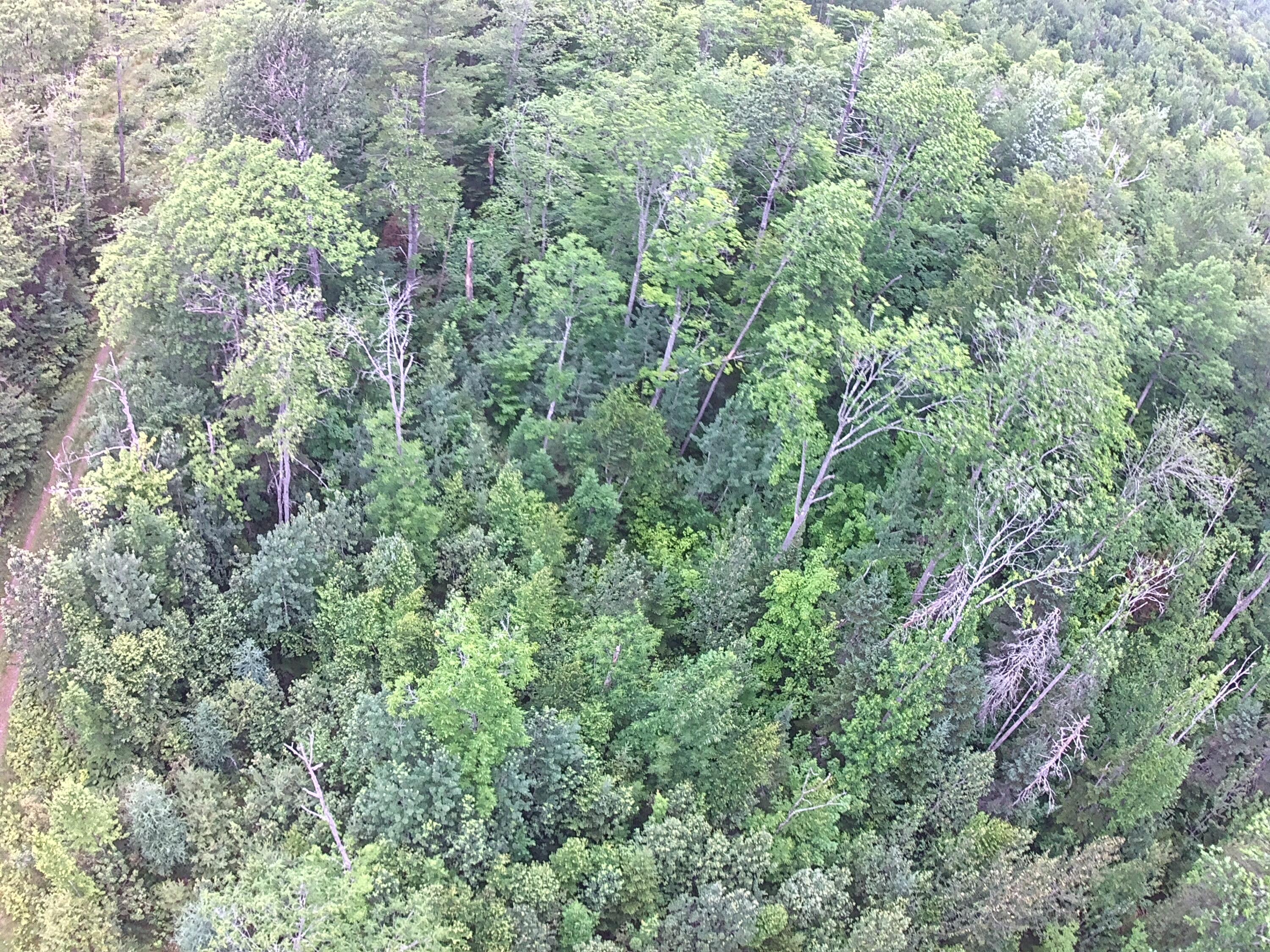 177 Lander Road Parkman, ME 04443 - Photo 13 of 20 IMG_4866