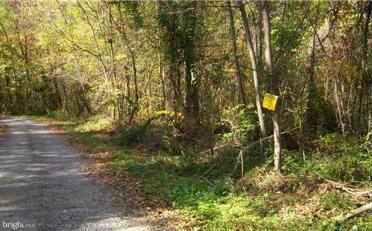 North Pious Ridge Road Berkeley Springs, WV 25411 - Photo 1 of 1 a view of a yard