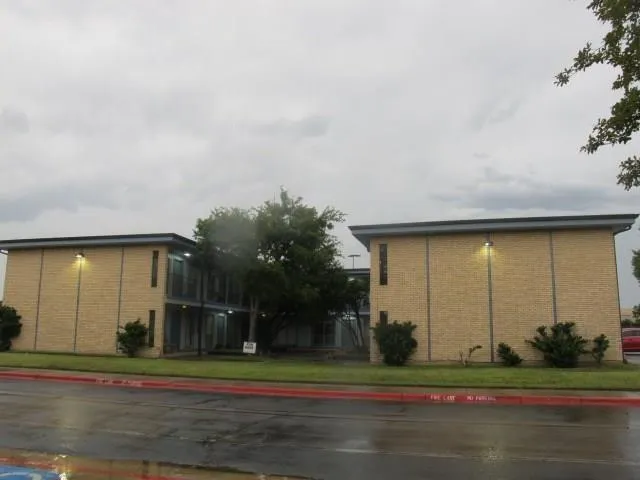 a backyard of a house with plants and large trees