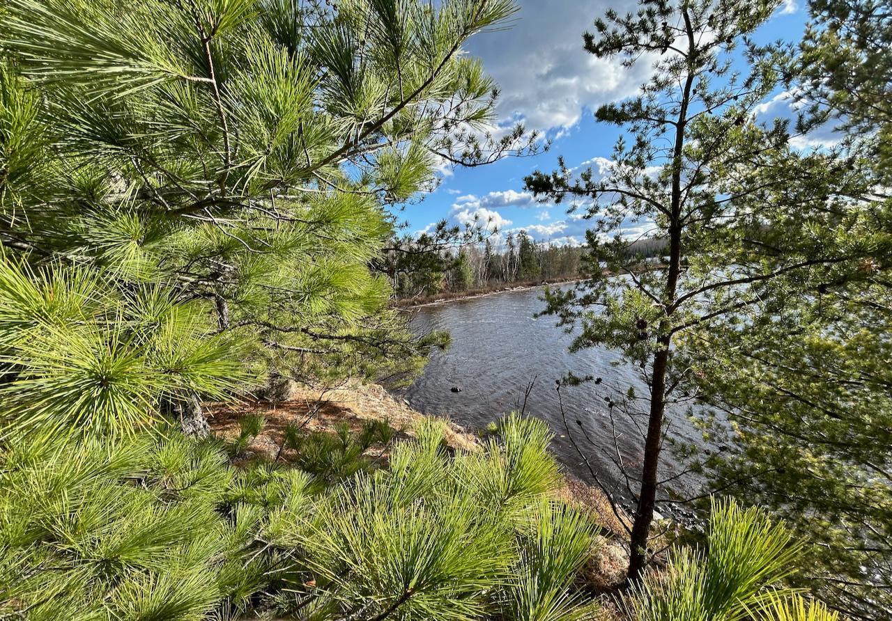 Tbd Wilderness Way Road Orr, MN 55771 - Photo 9 of 22
